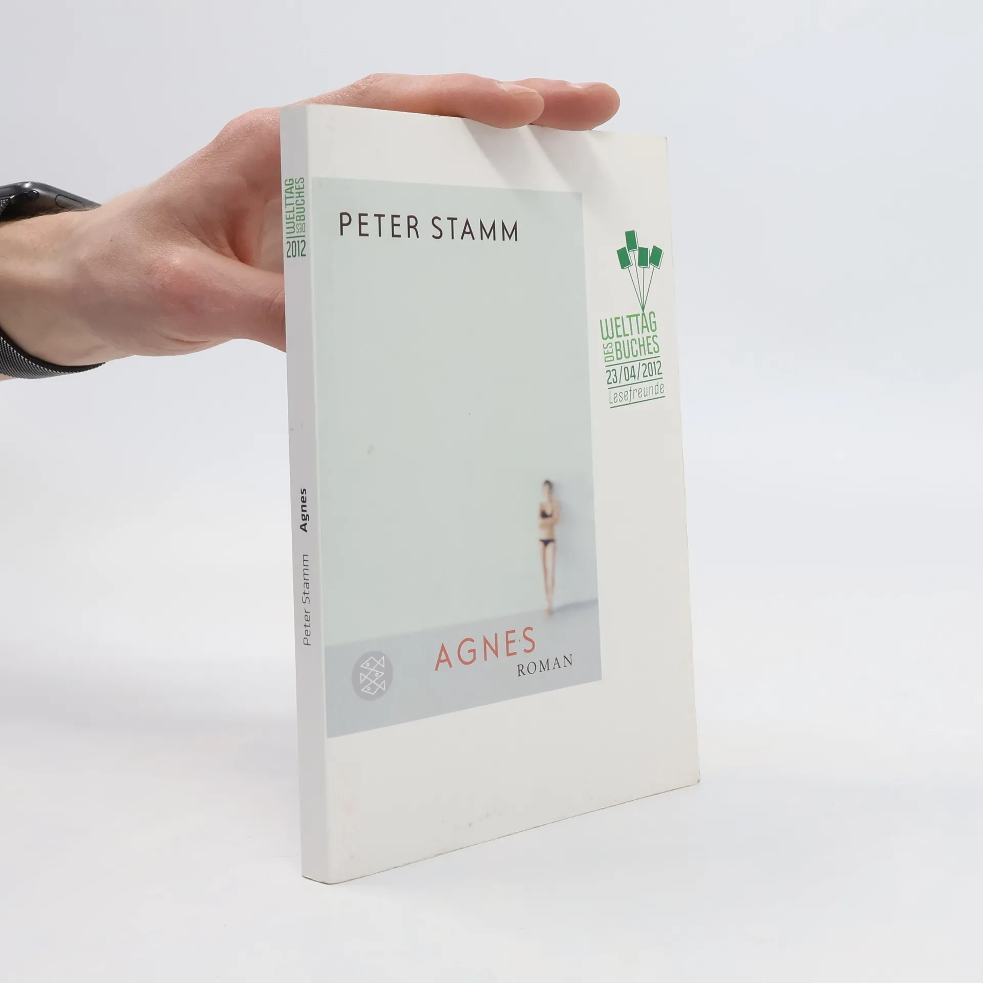 Agnes | Buch | Paperback | Peter Stamm