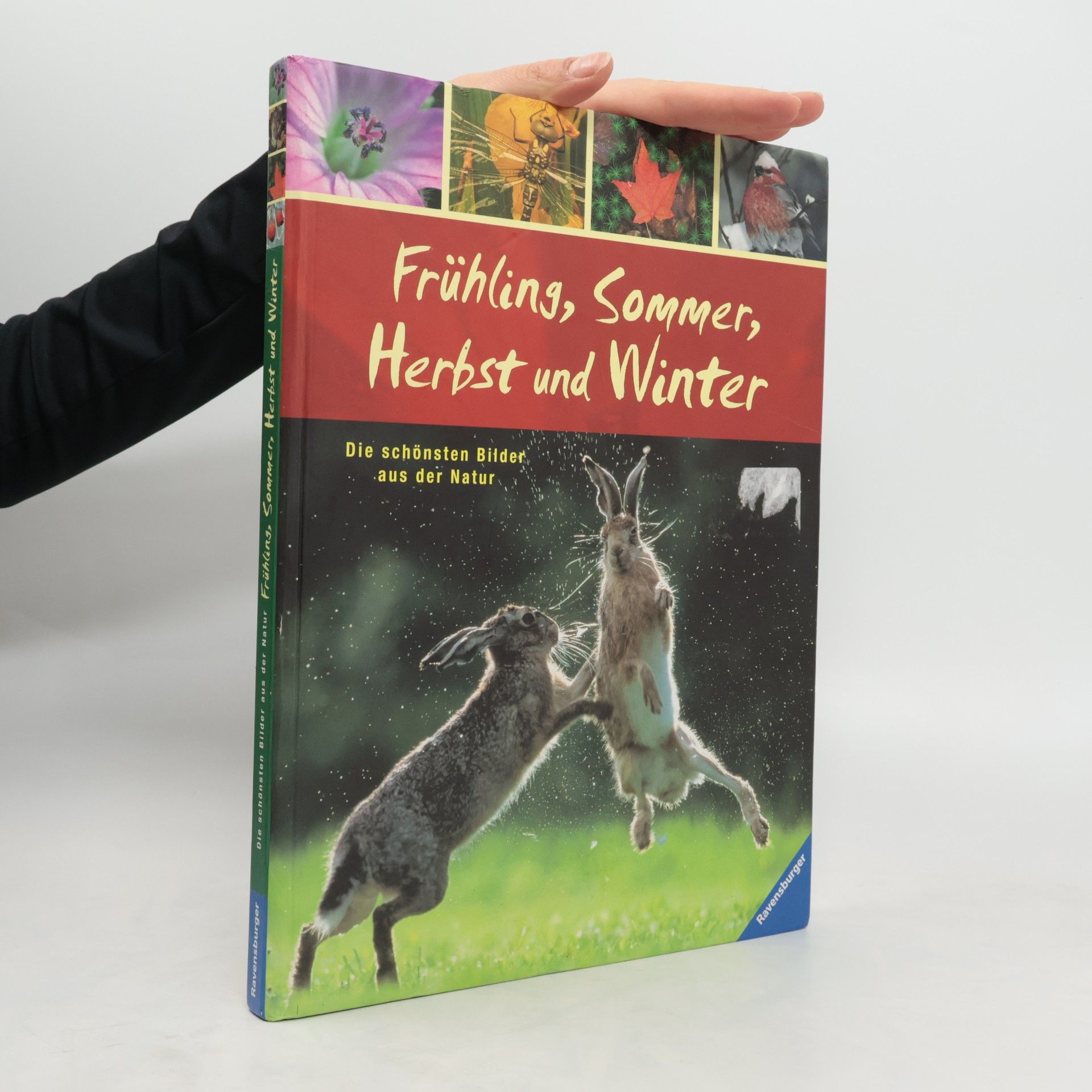Béatrice Fontanel Frühling, Sommer, Herbst und Winter