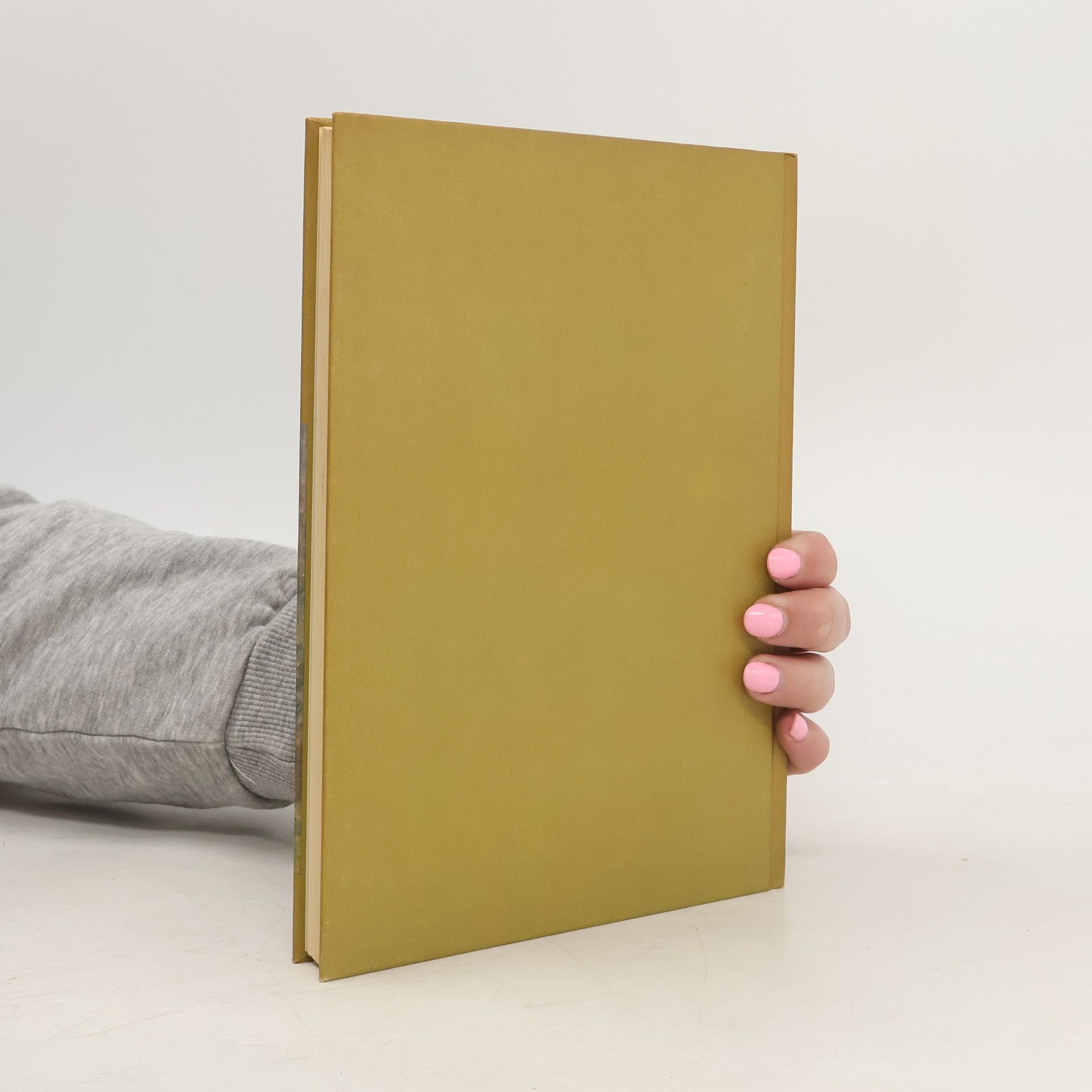 Kolektiv autorů Heimatbuch des Kreises Viersen 1981