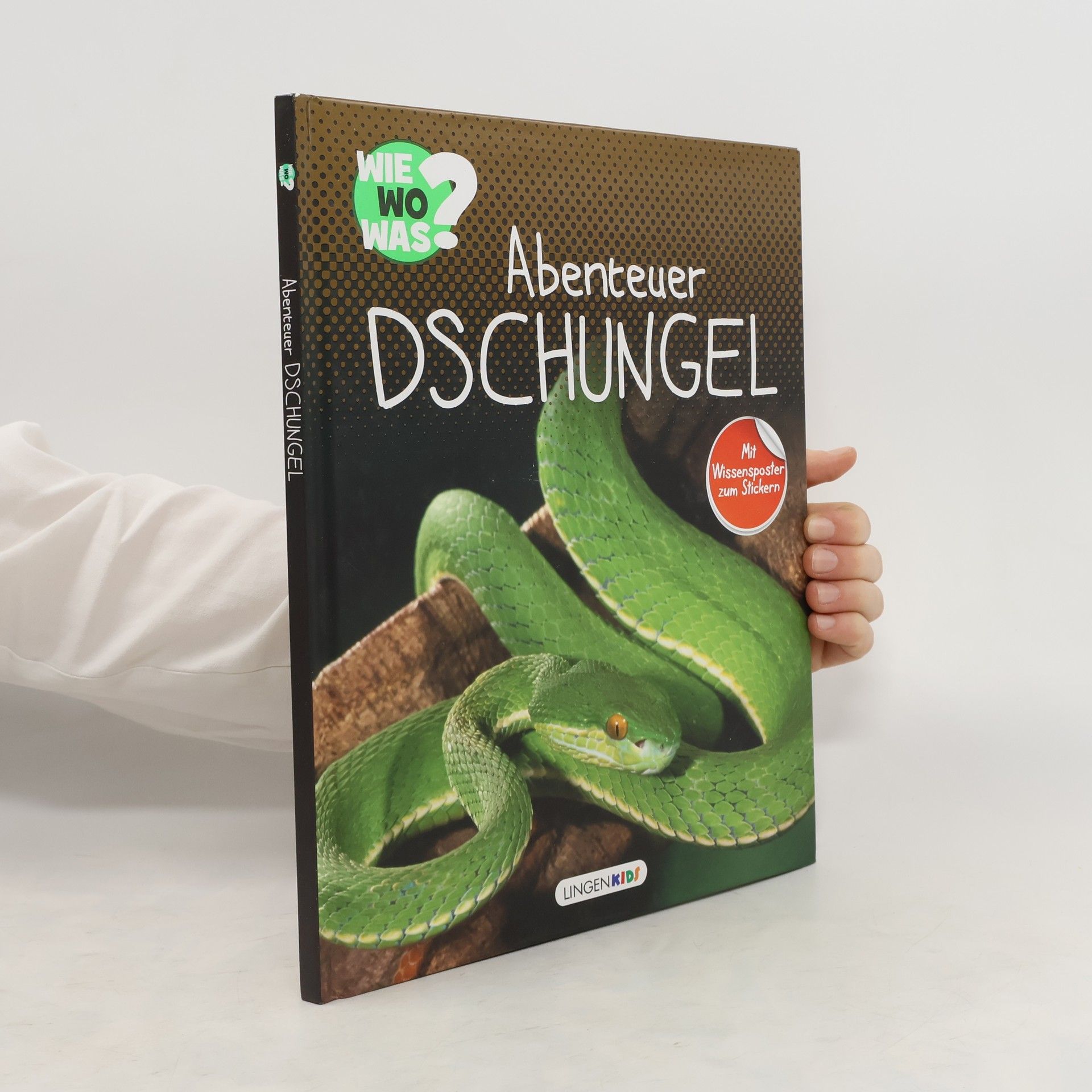 Collective Abenteuer Dschungel