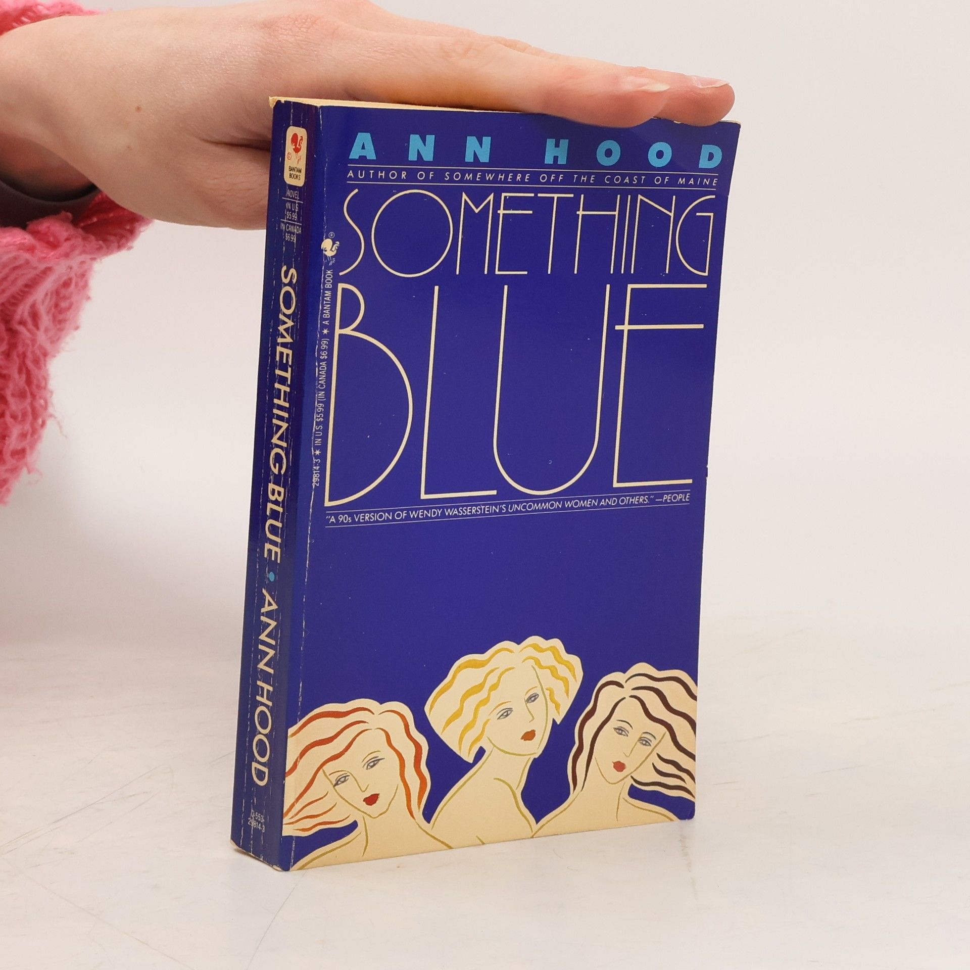 Ann Hood Something Blue