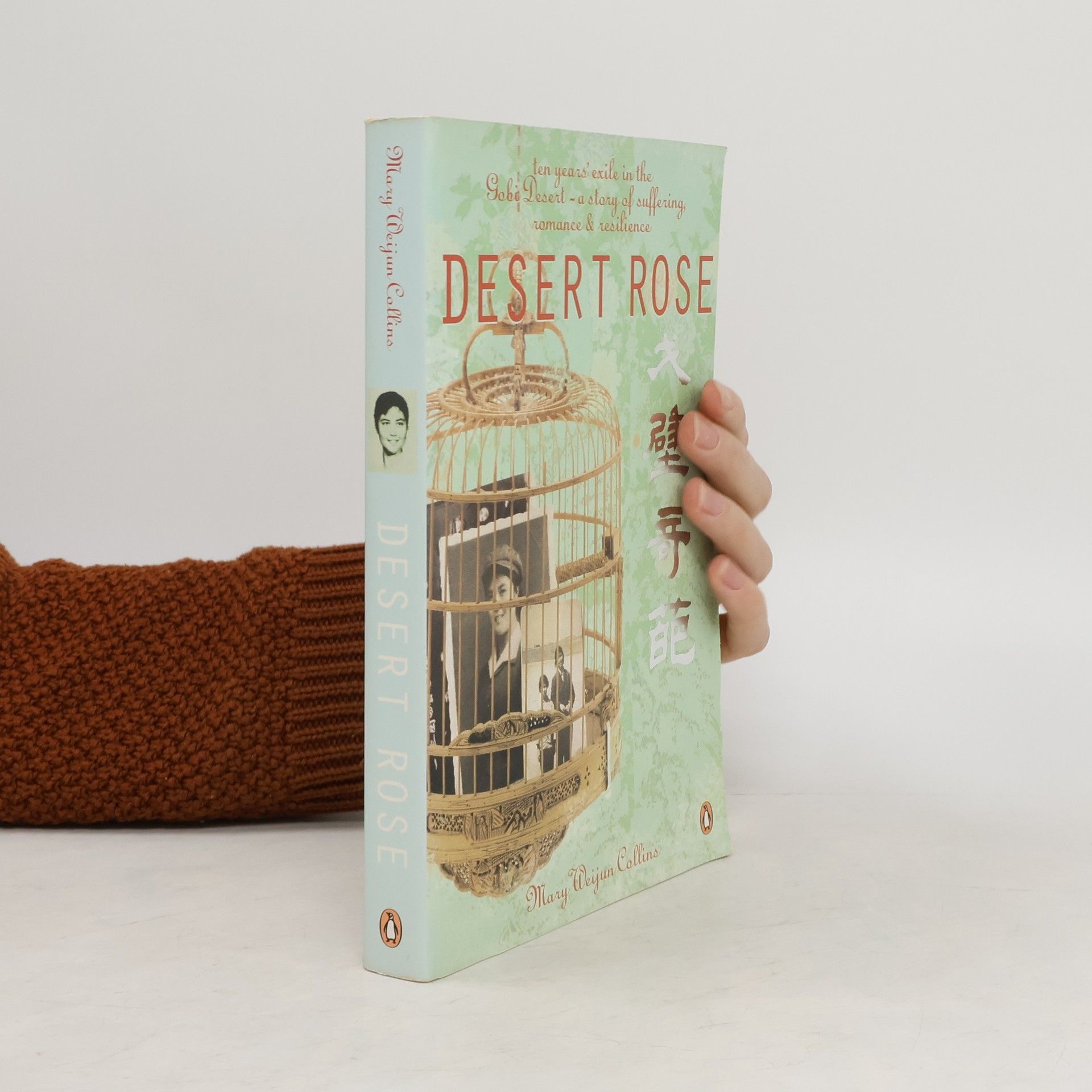 Mary Weijun Collins Desert Rose