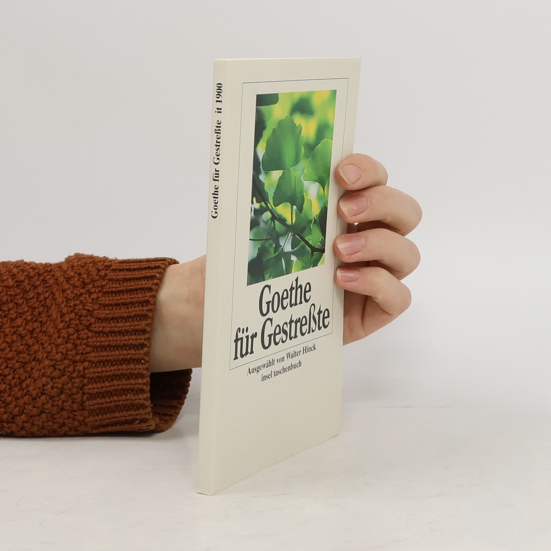 kolektiv Goethe für Gestreßte