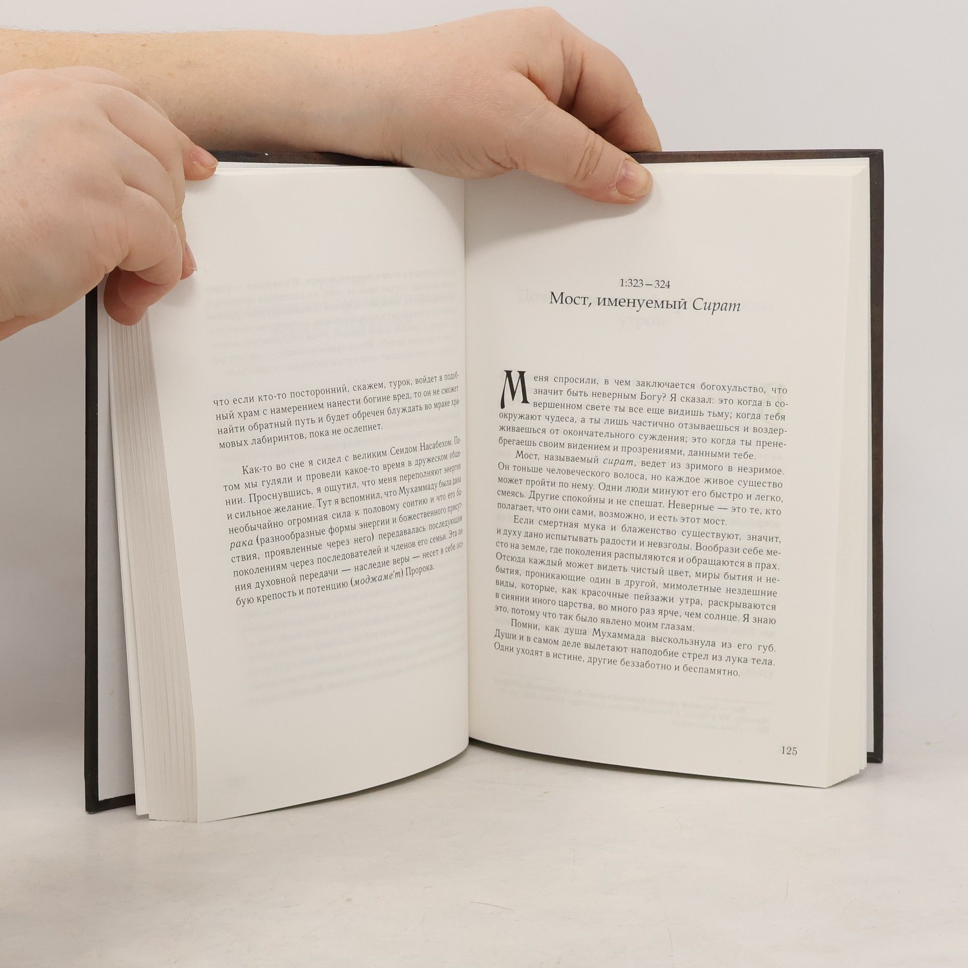 Autorenkollektiv Утопленная книга