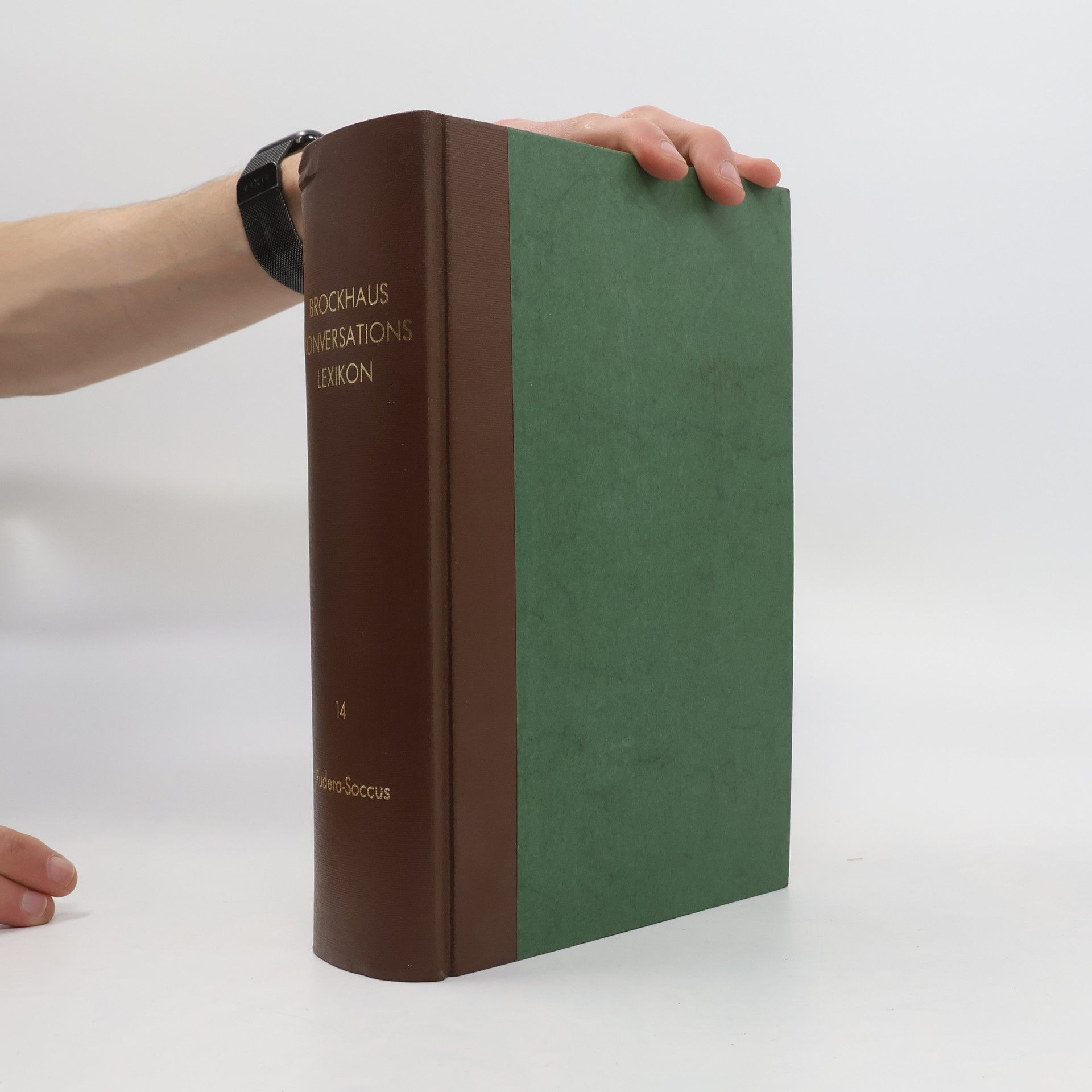 Friedrich Arnold Brockhaus Brockhaus' Konversations-Lexikon 14