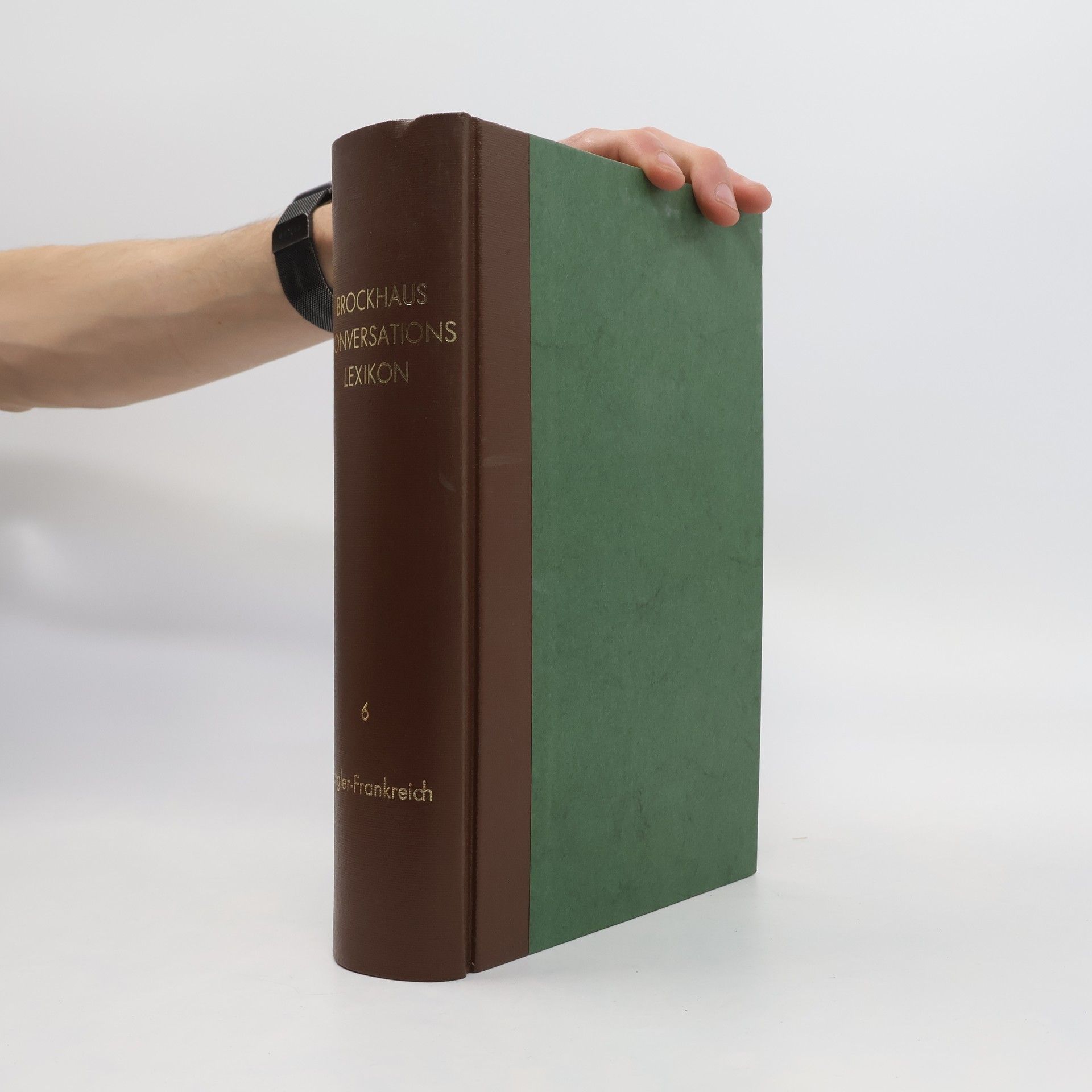 kolektiv Brockhaus Konversations Lexikon 6
