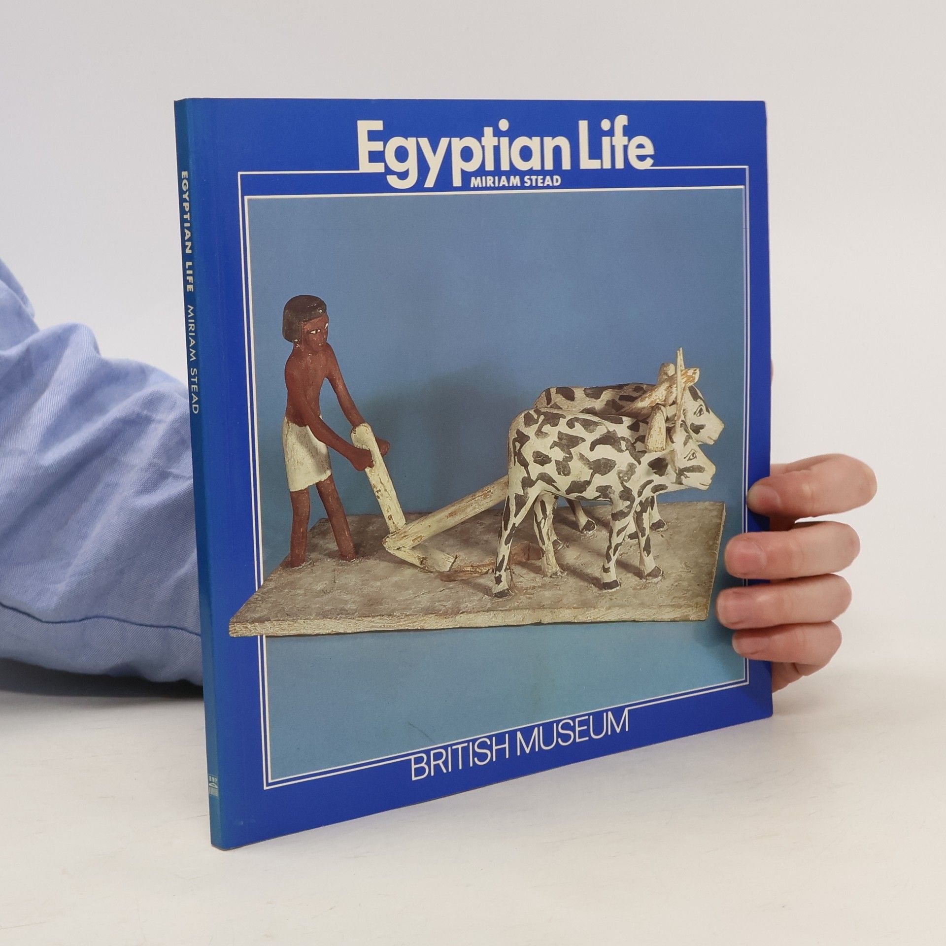 Miriam Stead Egyptian Life