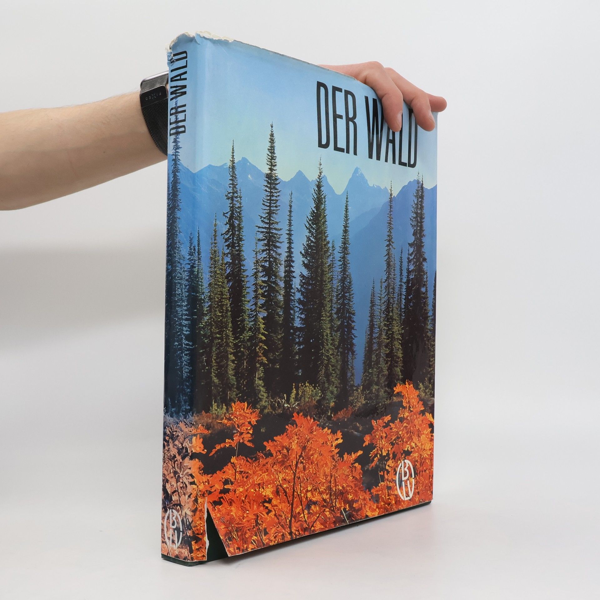 Collectif d'auteurs Der Wald