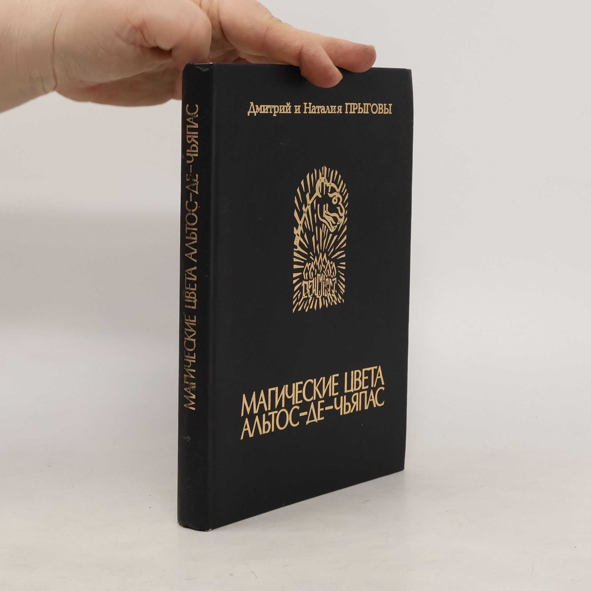 Д. Д Прыгов Магические цвета Альтос-де-Чьяпас