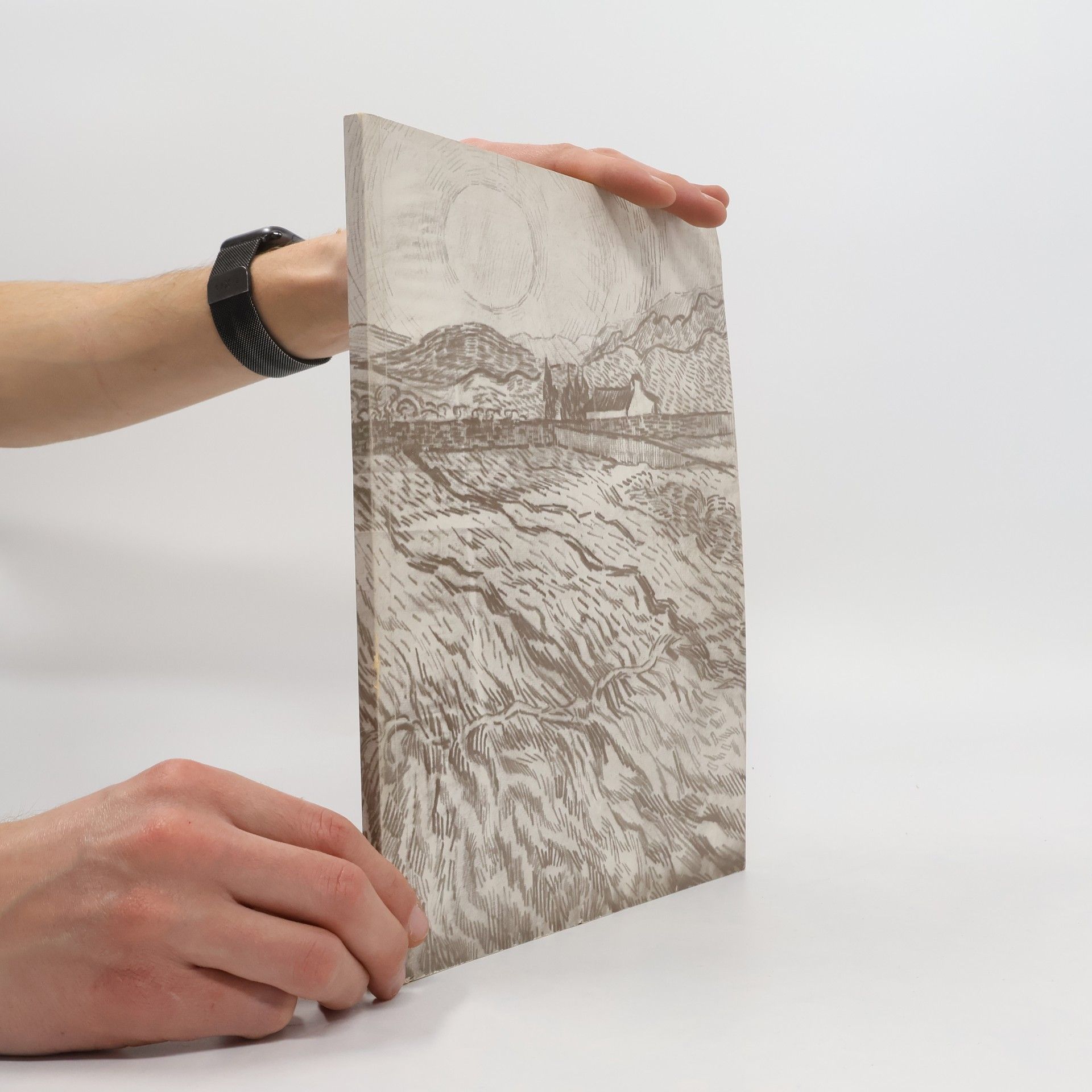 Autorenkollektiv Vincent van Gogh