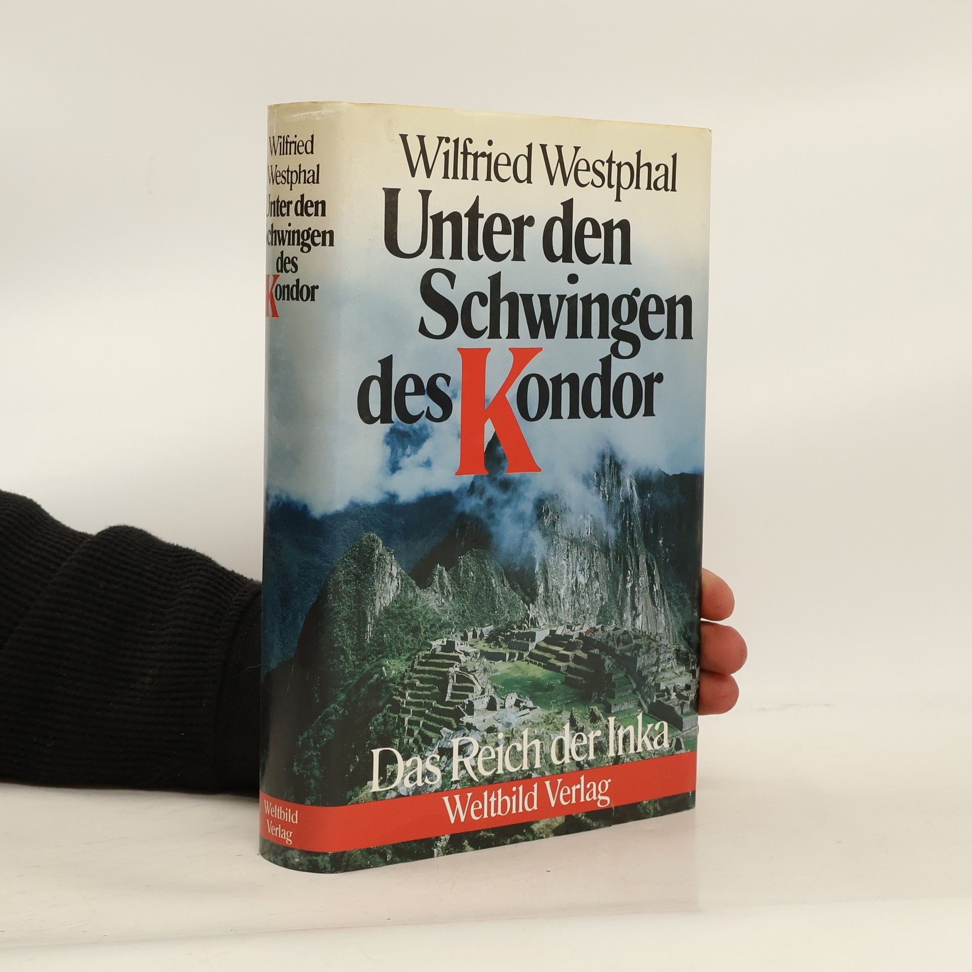 Wilfried Westphal Unter den Schwingen des Condor