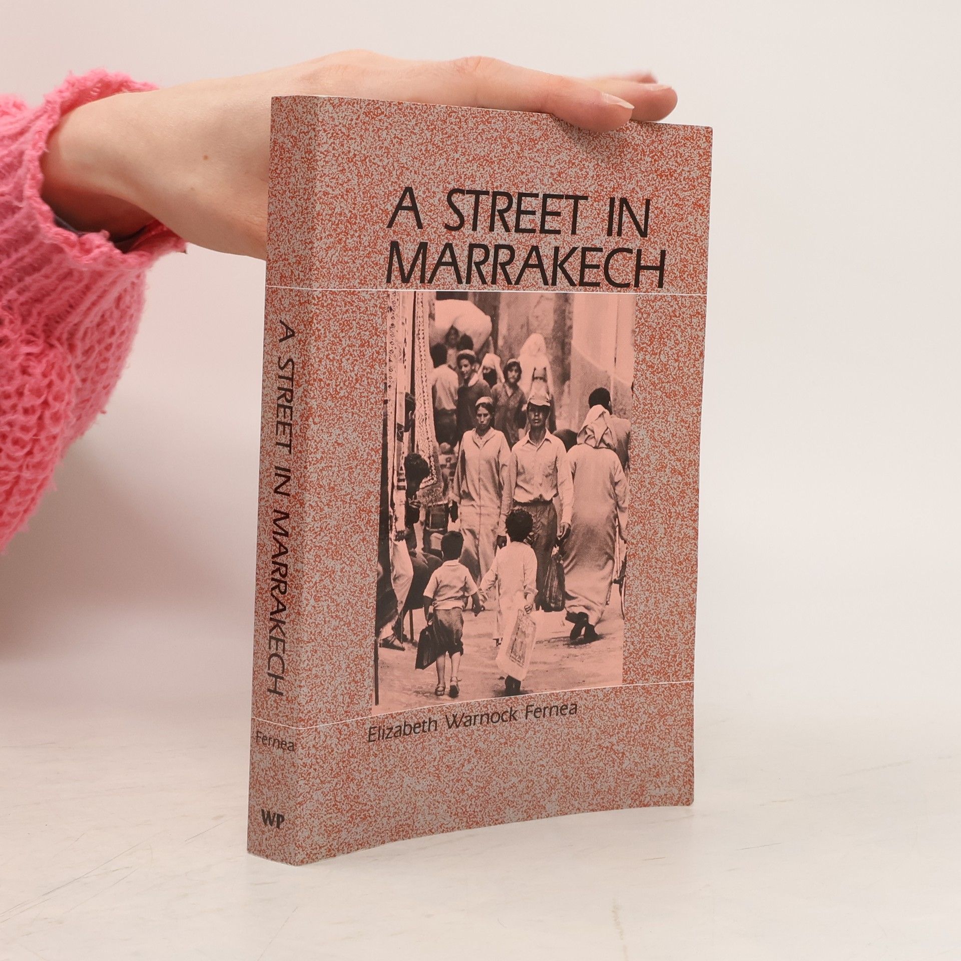 Elizabeth Warnock Fernea A Street in Marrakech