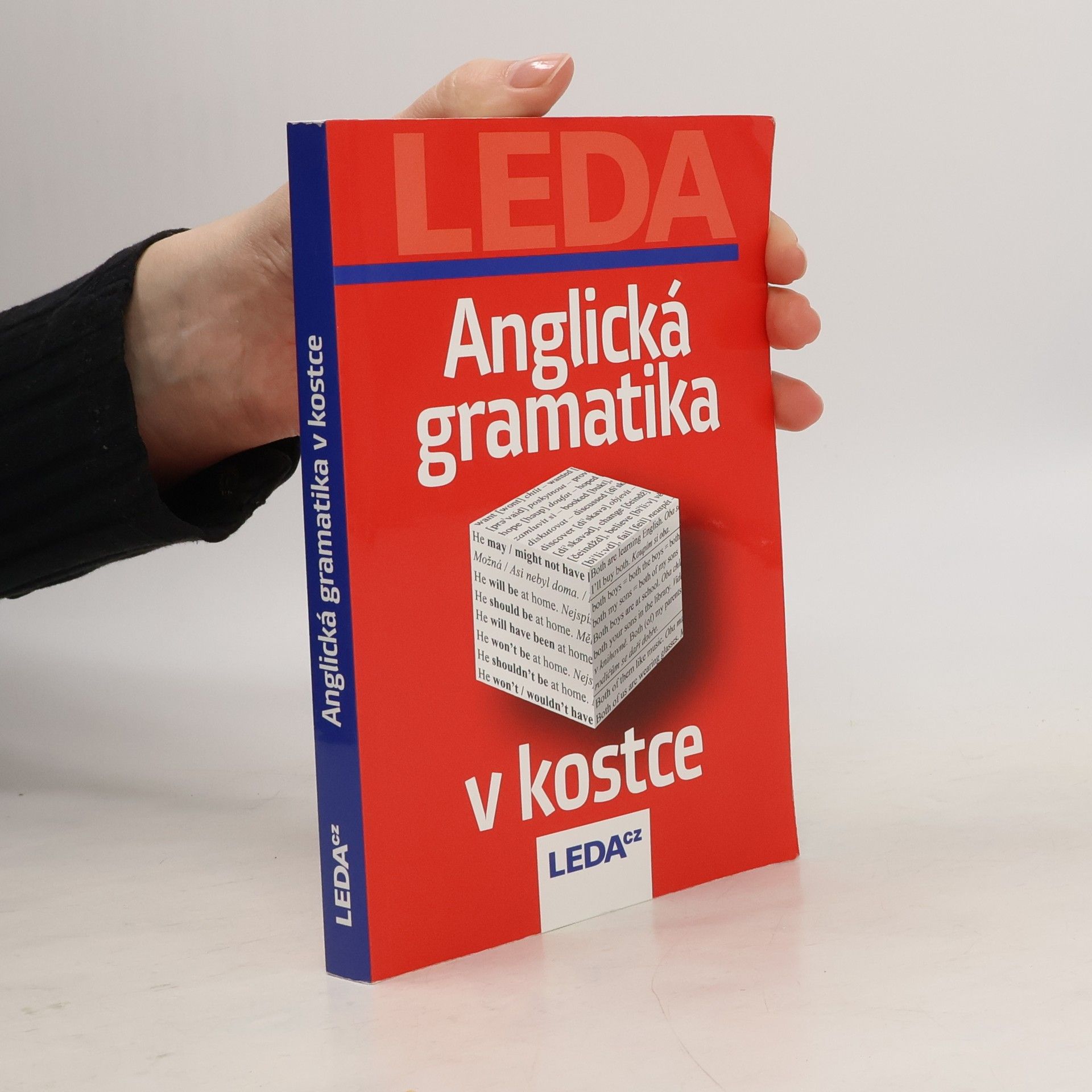 Collective Anglická gramatika v kostce