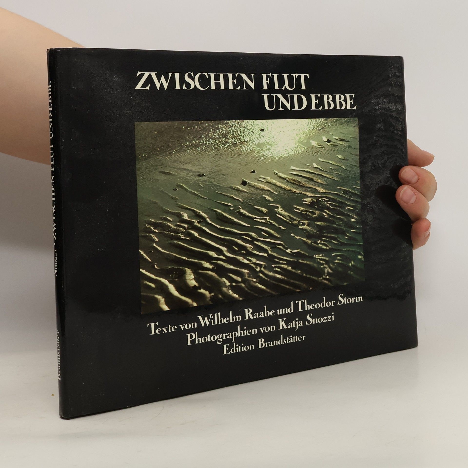Katja Snozzi Zwischen Flut und Ebbe