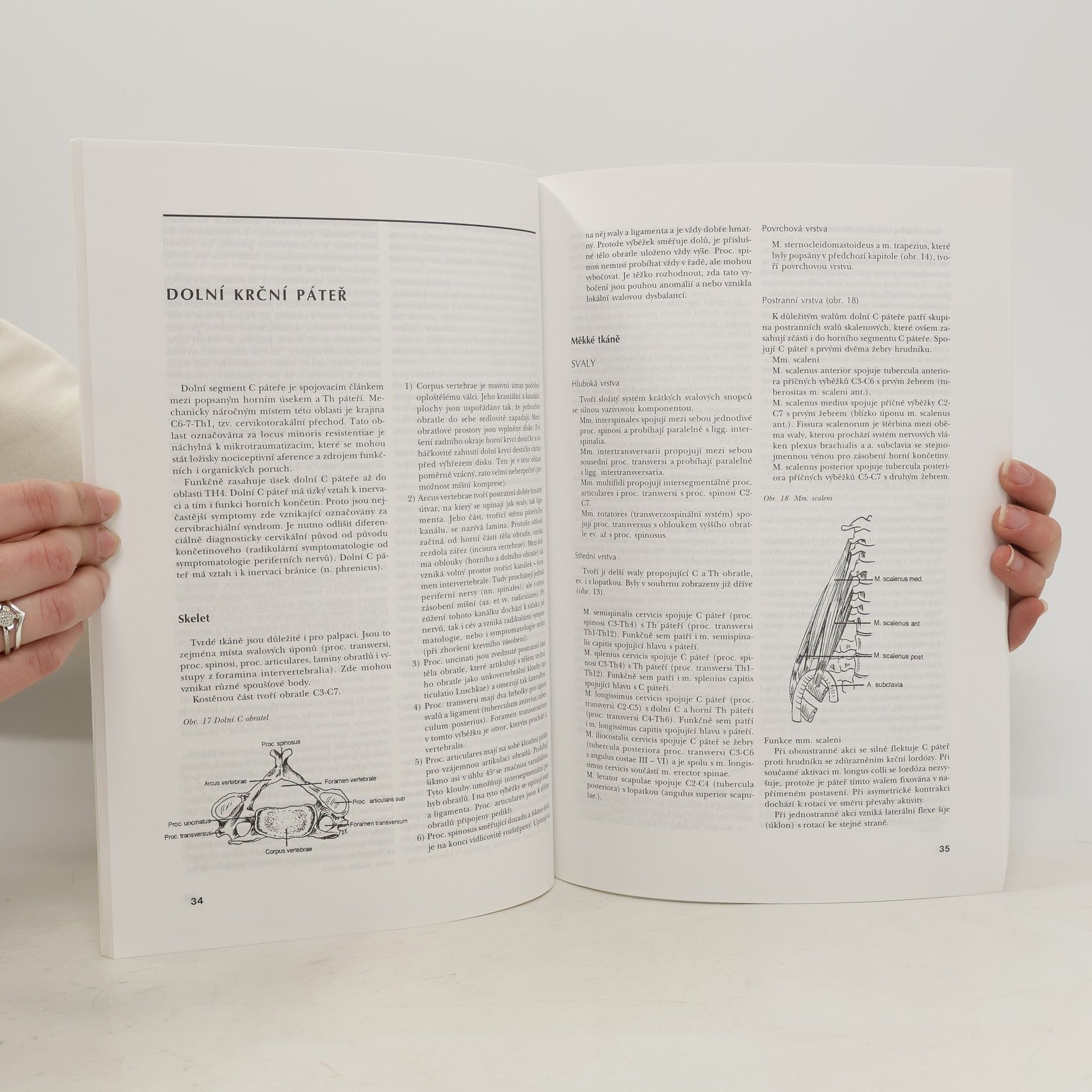 František Véle Kineziologie posturálního systému