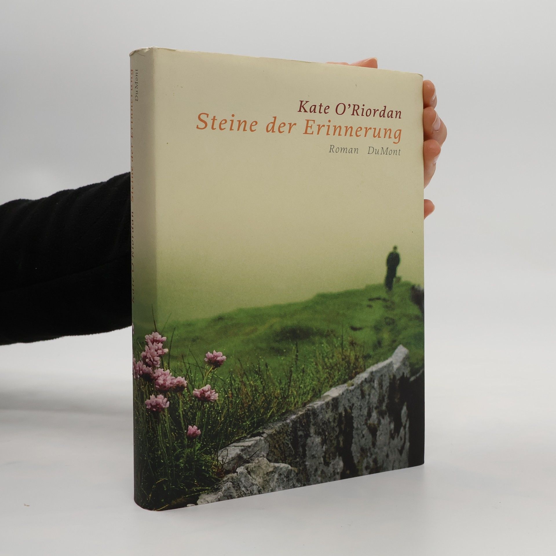 Kate O. Riordan Steine der Erinnerung