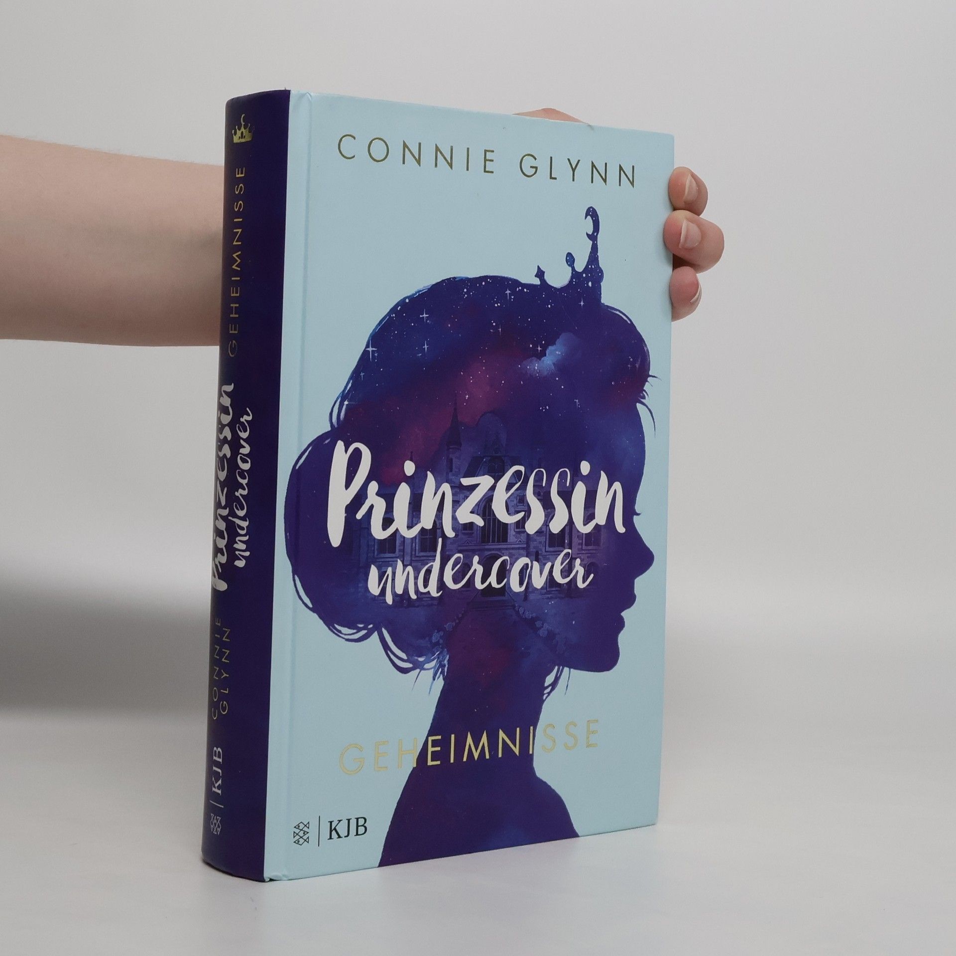 Connie Glynn Prinzessin undercover. Geheimnisse