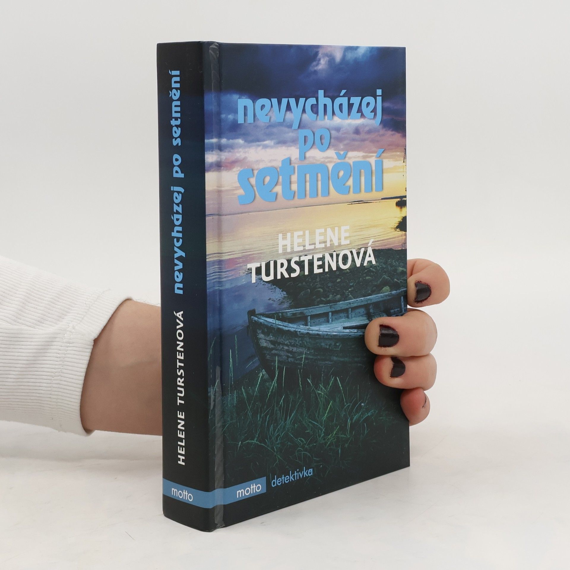 Helene Tursten Nevycházej po setmění
