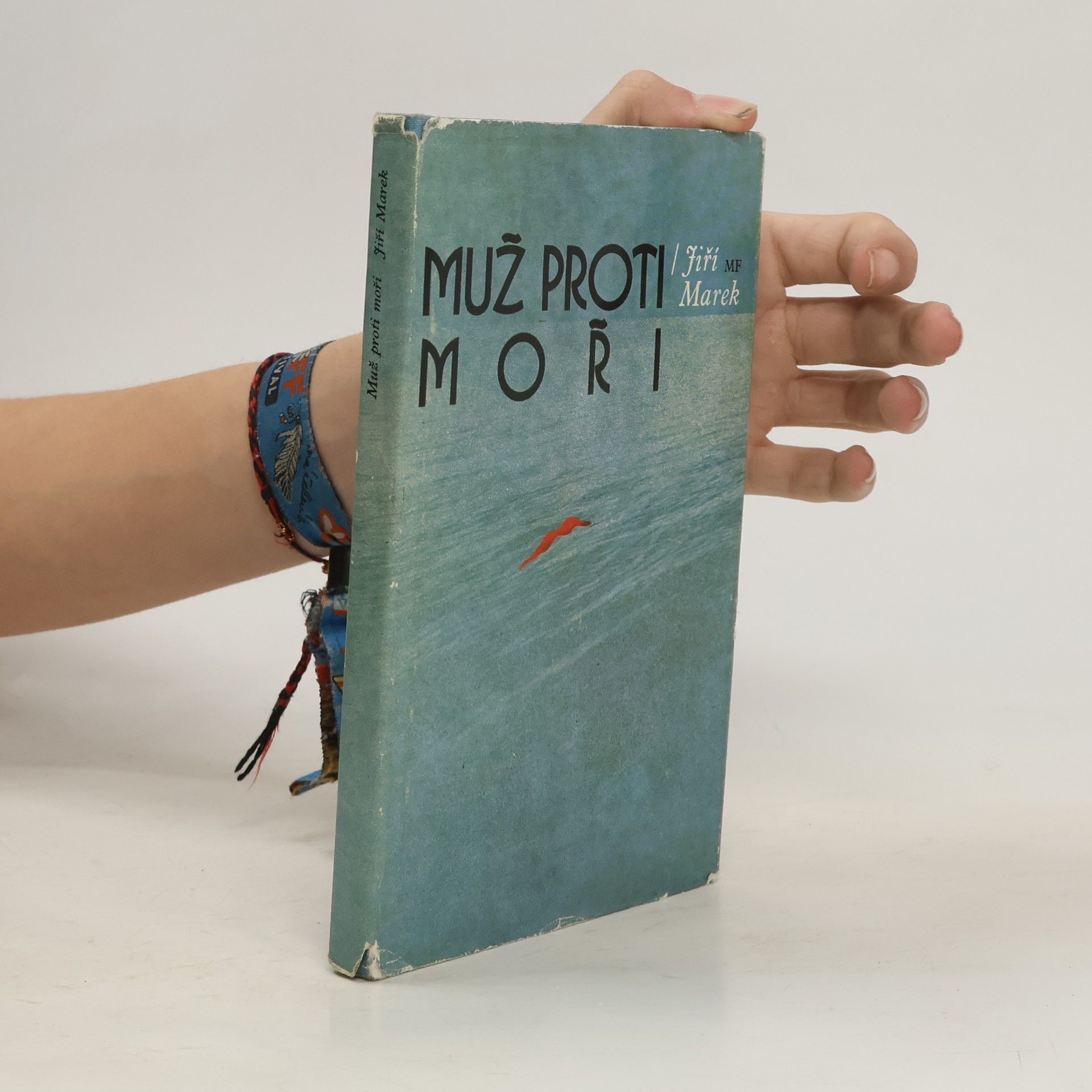 Jiří Marek Muž proti moři