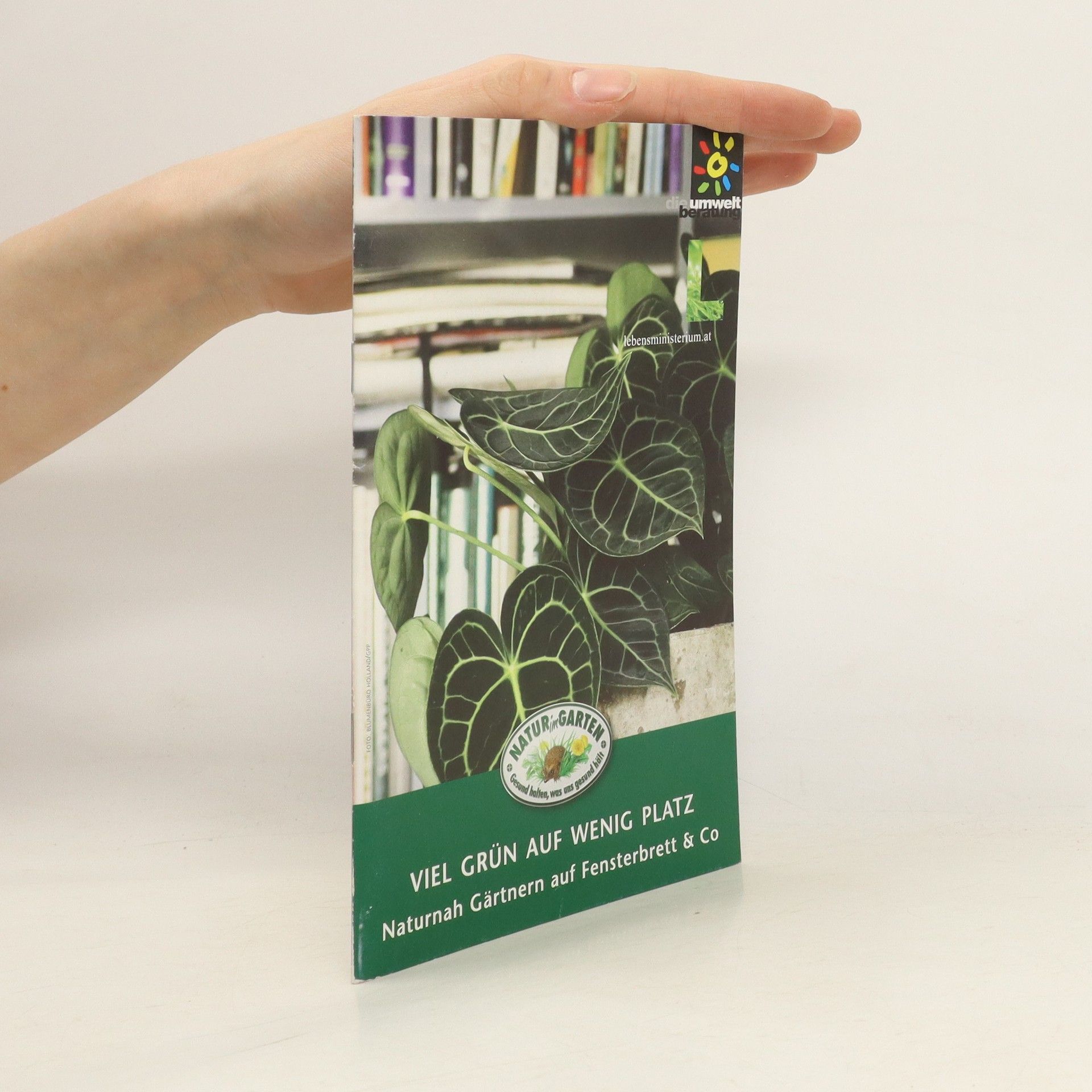 Autorenkollektiv Viel Grün auf wenig Platz