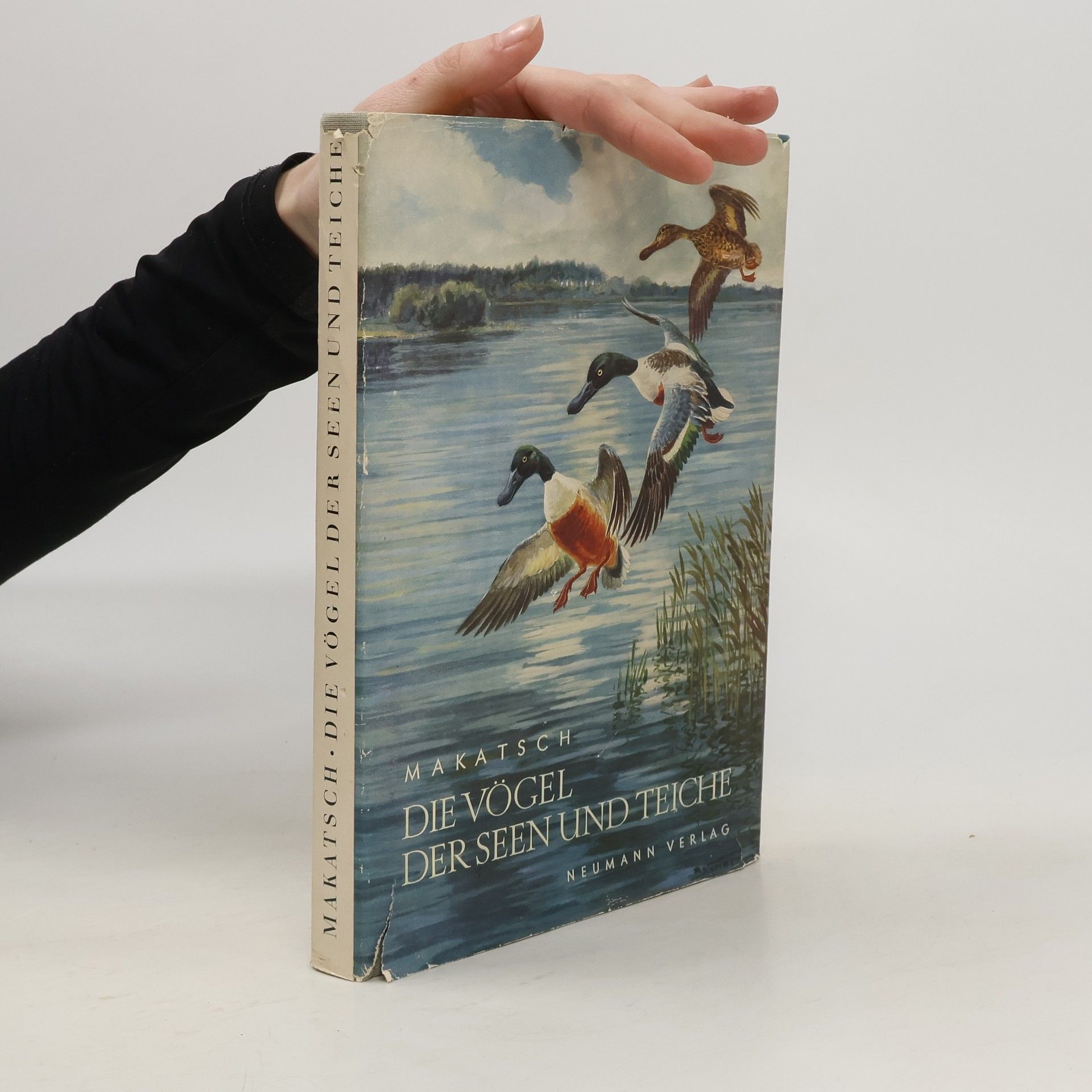 Wolfgang Makatsch Die Vögel der Seen und Teiche