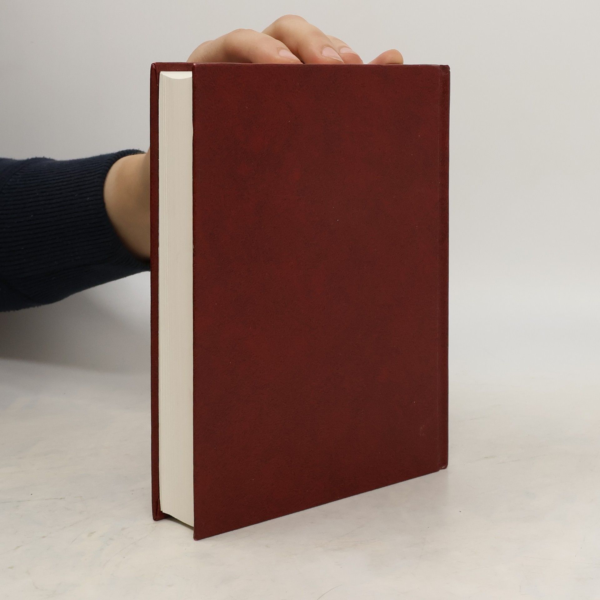 Collectif d'auteurs Bible