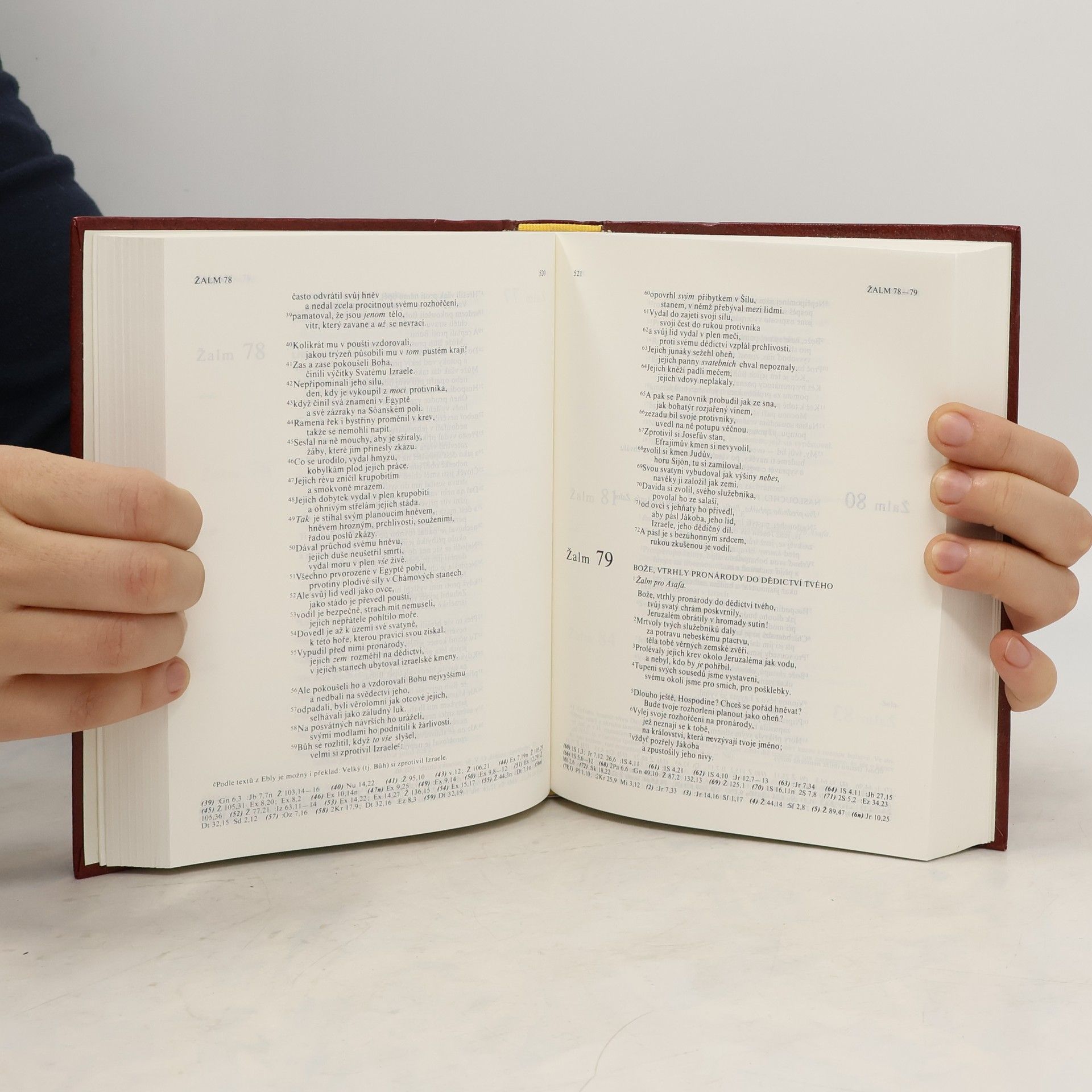 Collectif d'auteurs Bible
