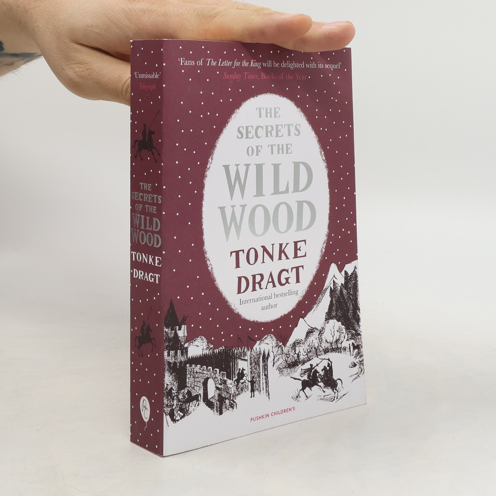 Tonke Dragt The Secrets of the Wild Wood (Winter Edition)