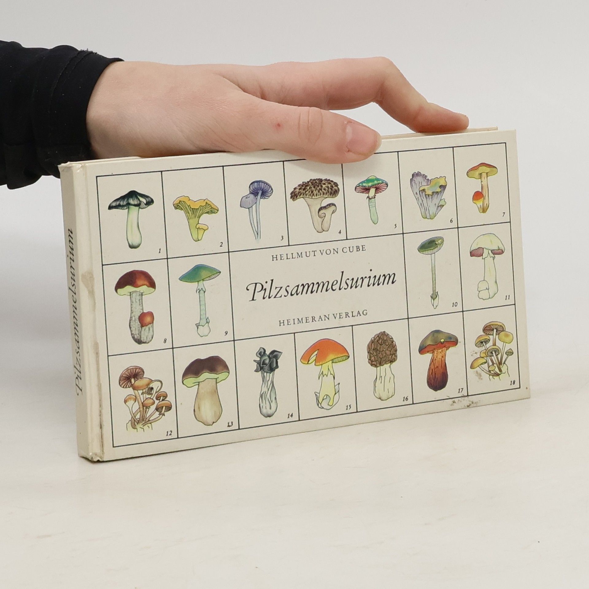 Hellmut von Cube Pilzsammelsurium