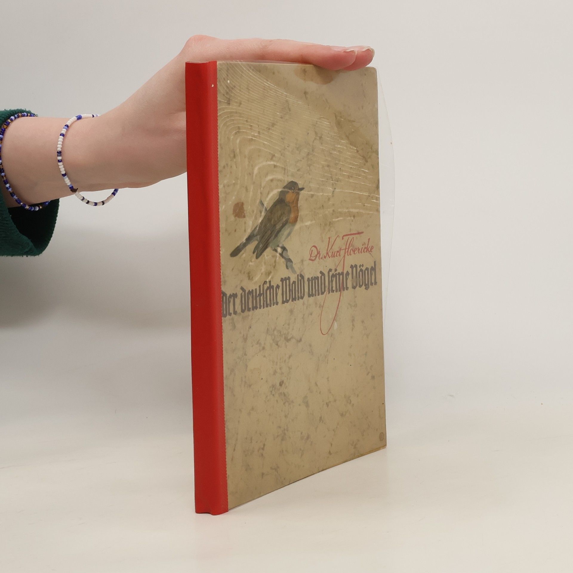 Kurt Hoericke Der Deutsche Wald und seine Vögel