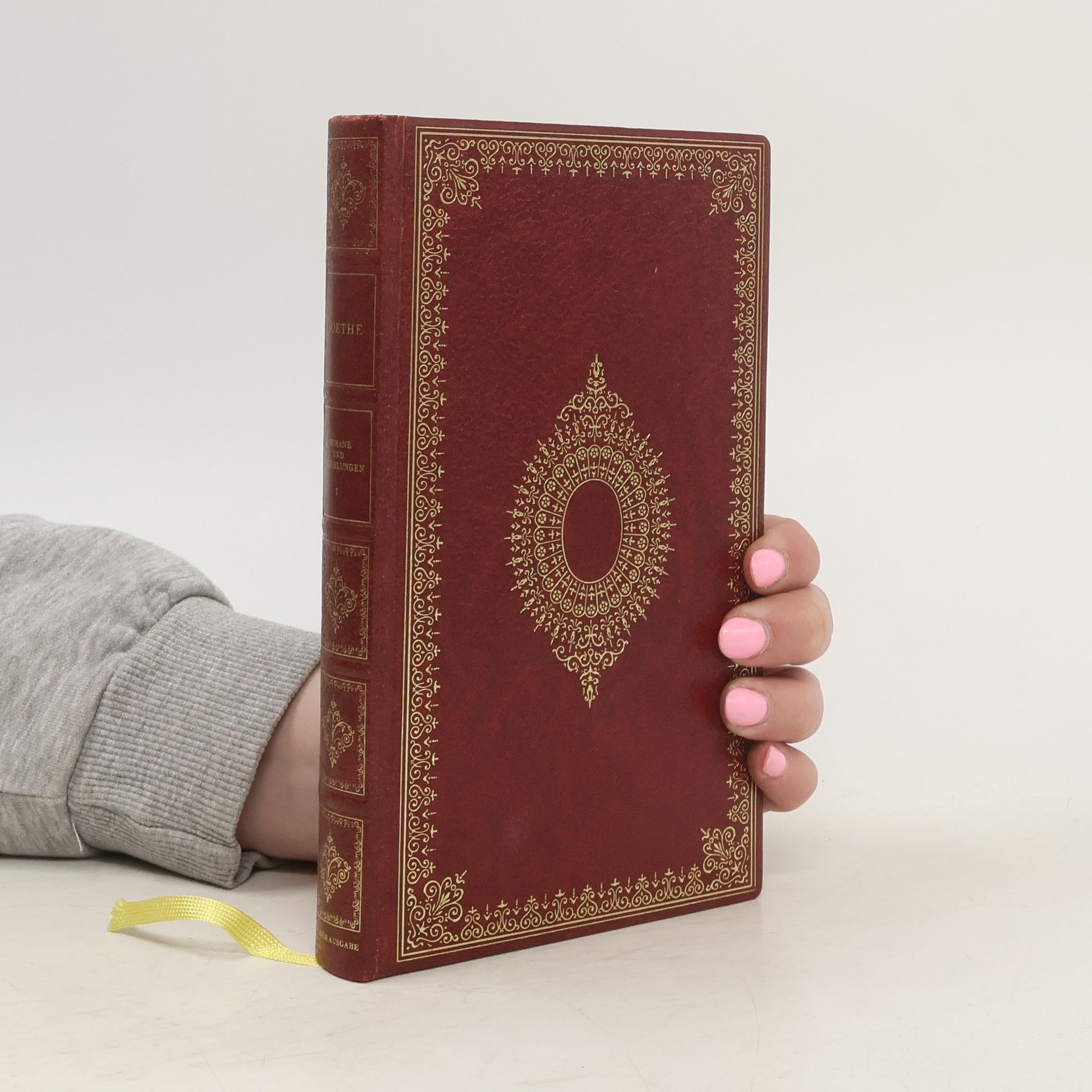 Johann Wolfgang von Goethe Romane und Erzählungen 1