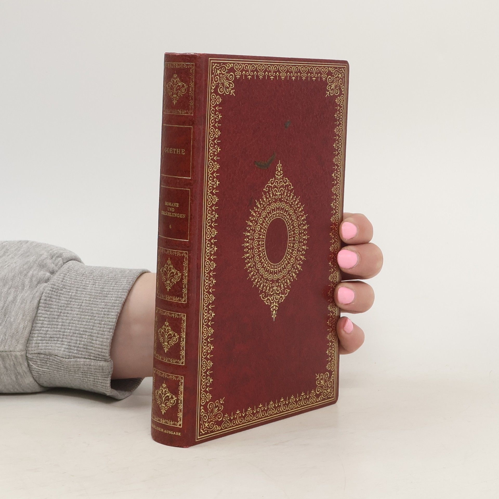 Johann Wolfgang von Goethe Romane und Erzählungen 6