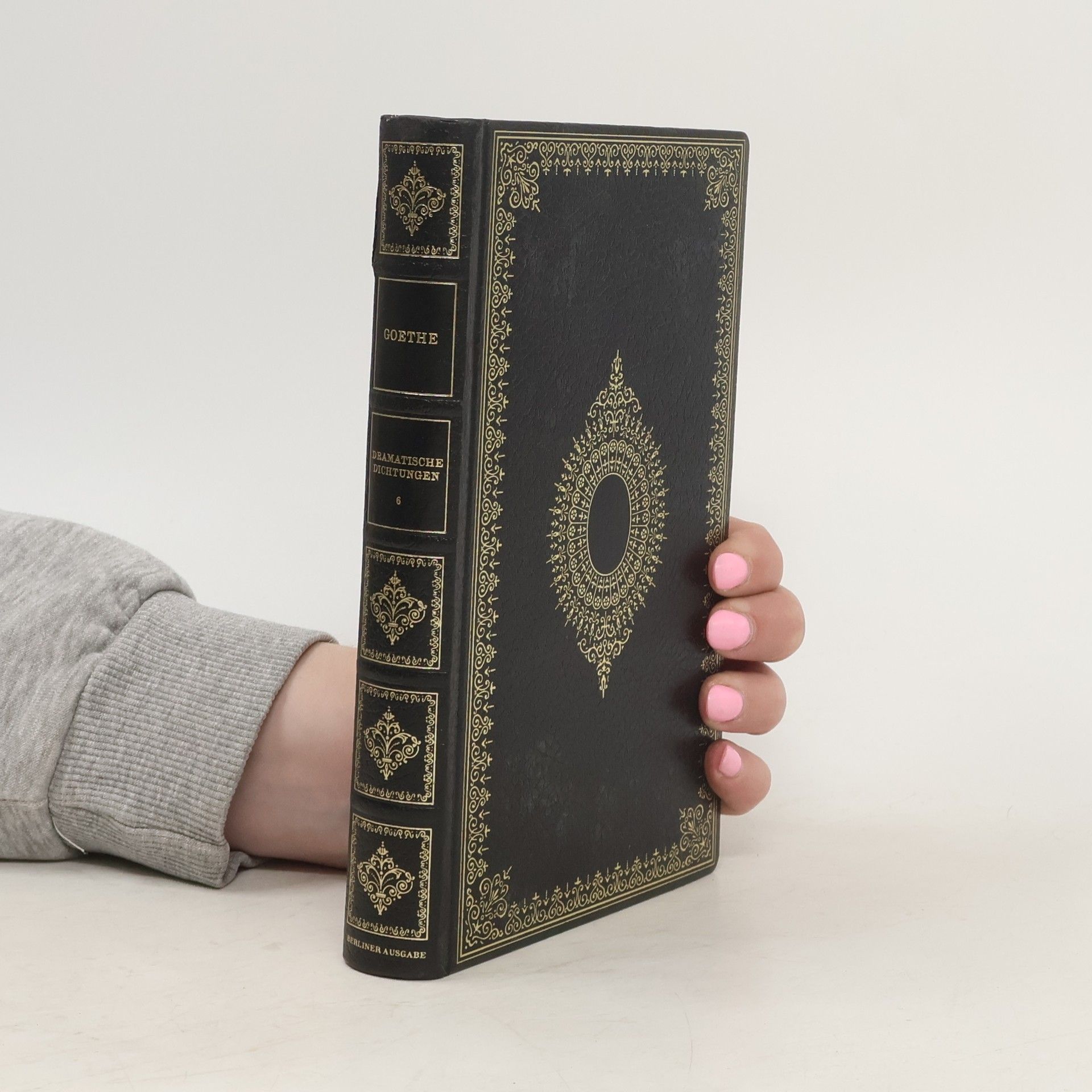 Johann Wolfgang von Goethe Dramatische Dichtungen 6