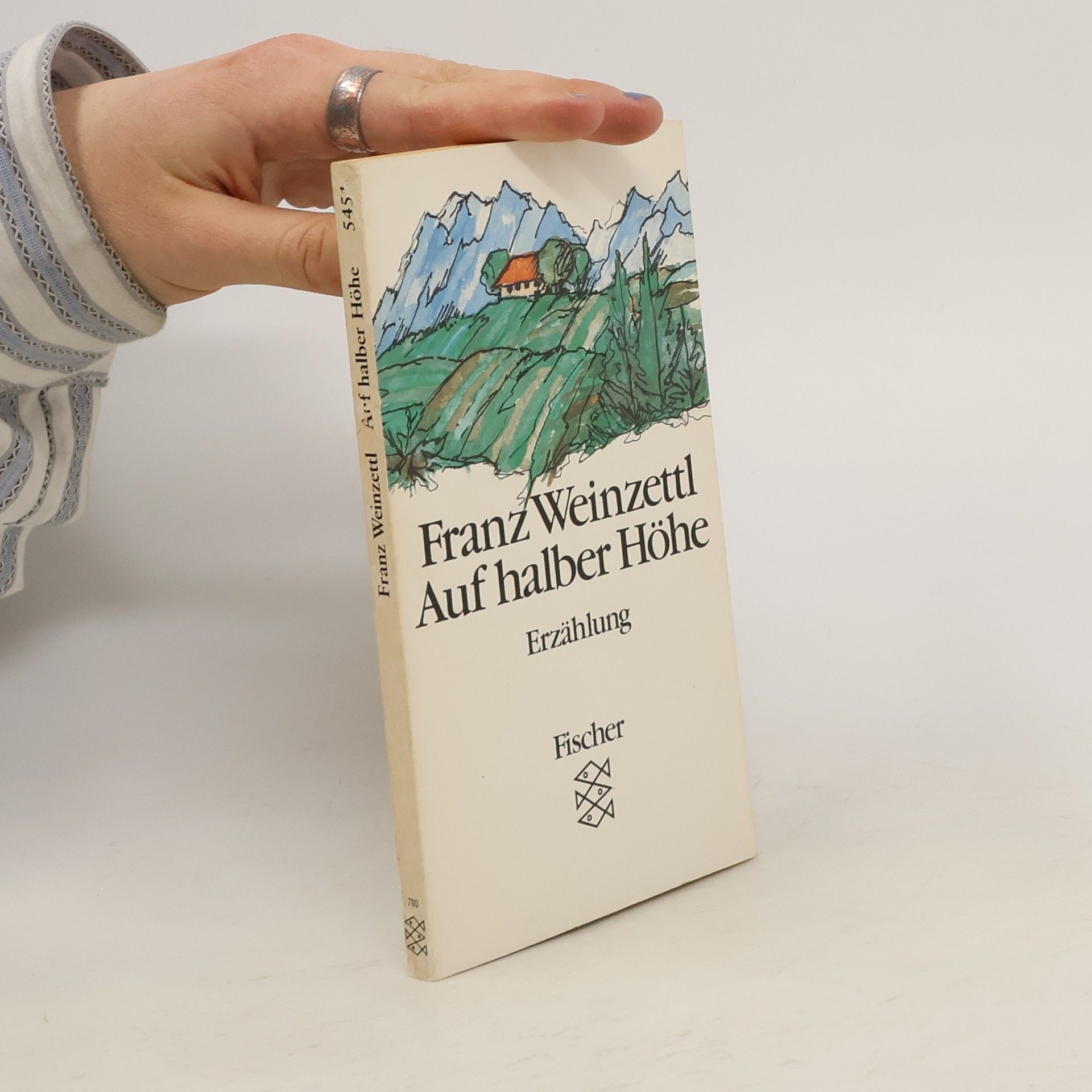 Franz Weinzettl Auf halber Höhe