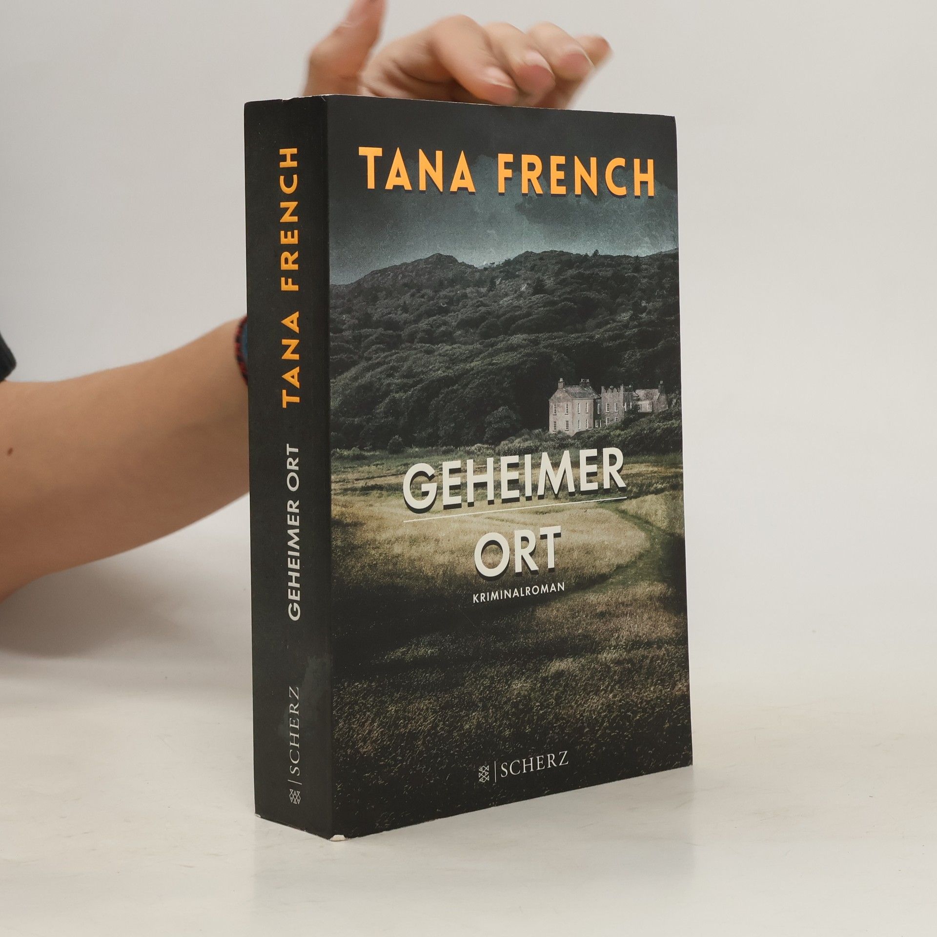 Tana French Geheimer Ort