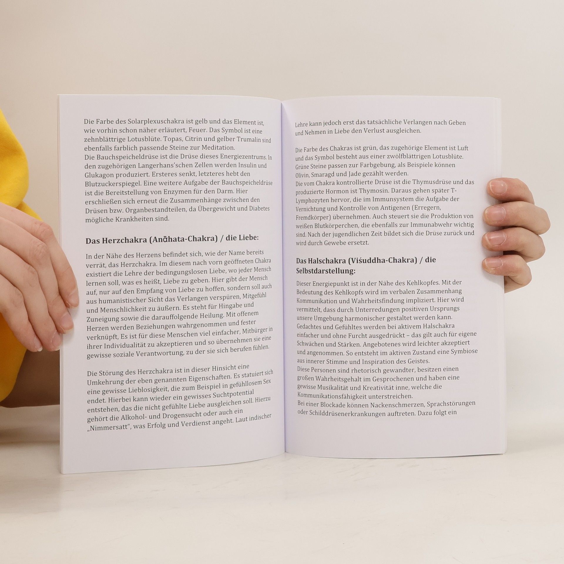 Adrian Engel Chakra. Praxisbuch für Einsteiger