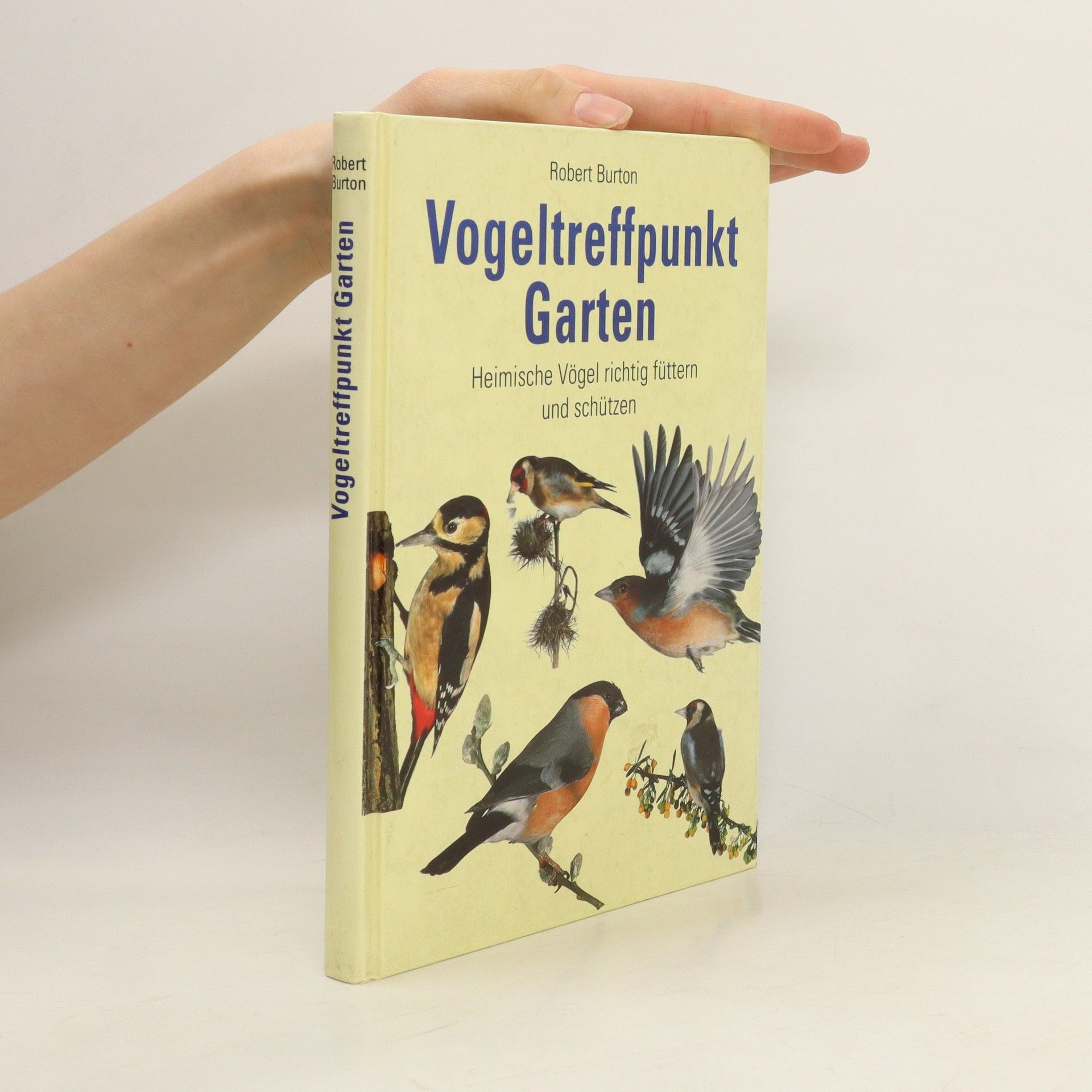 Robert Burton Vogeltreffpunkt Garten