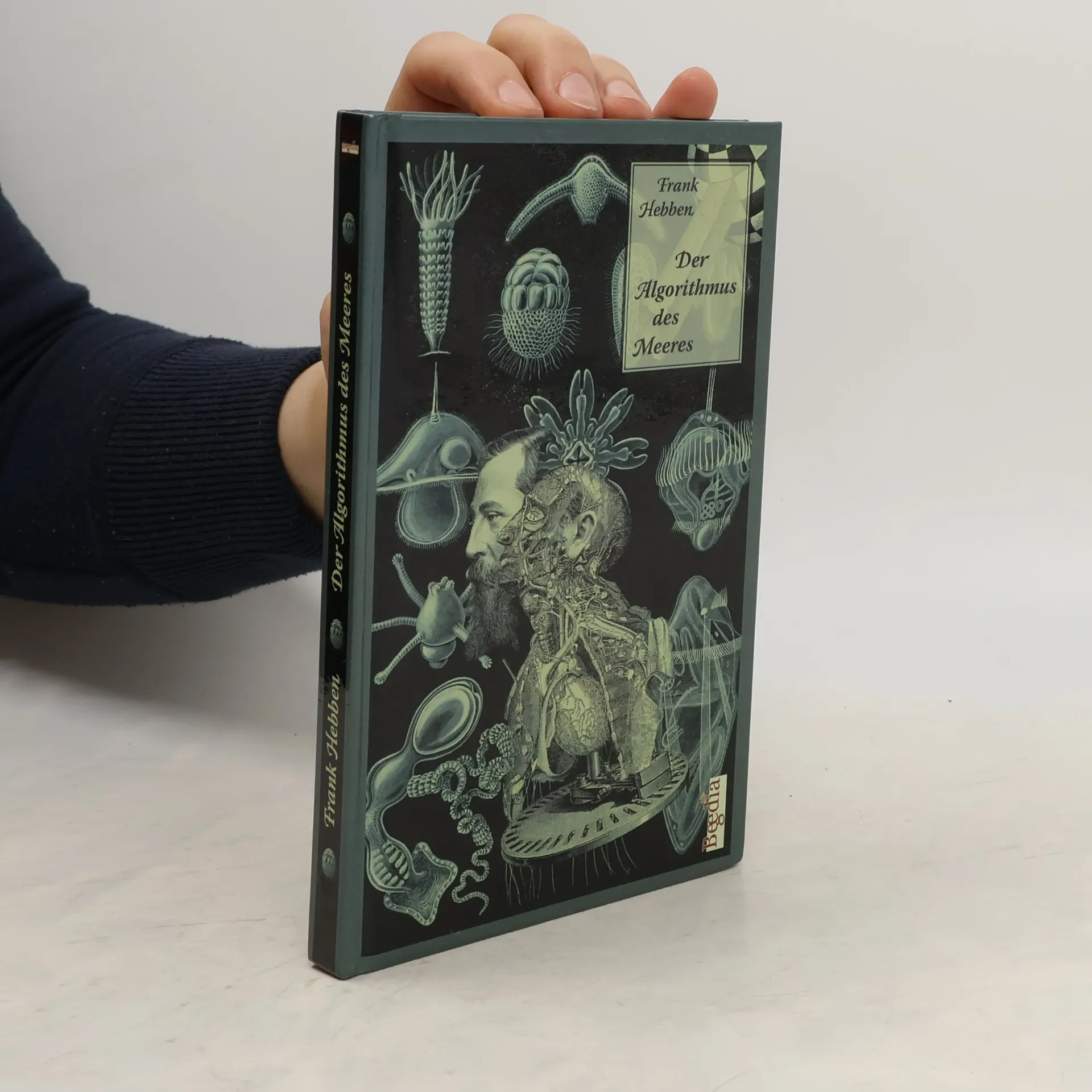 Der Algorithmus des Meeres | Livre | souple | Frank Hebben | DE