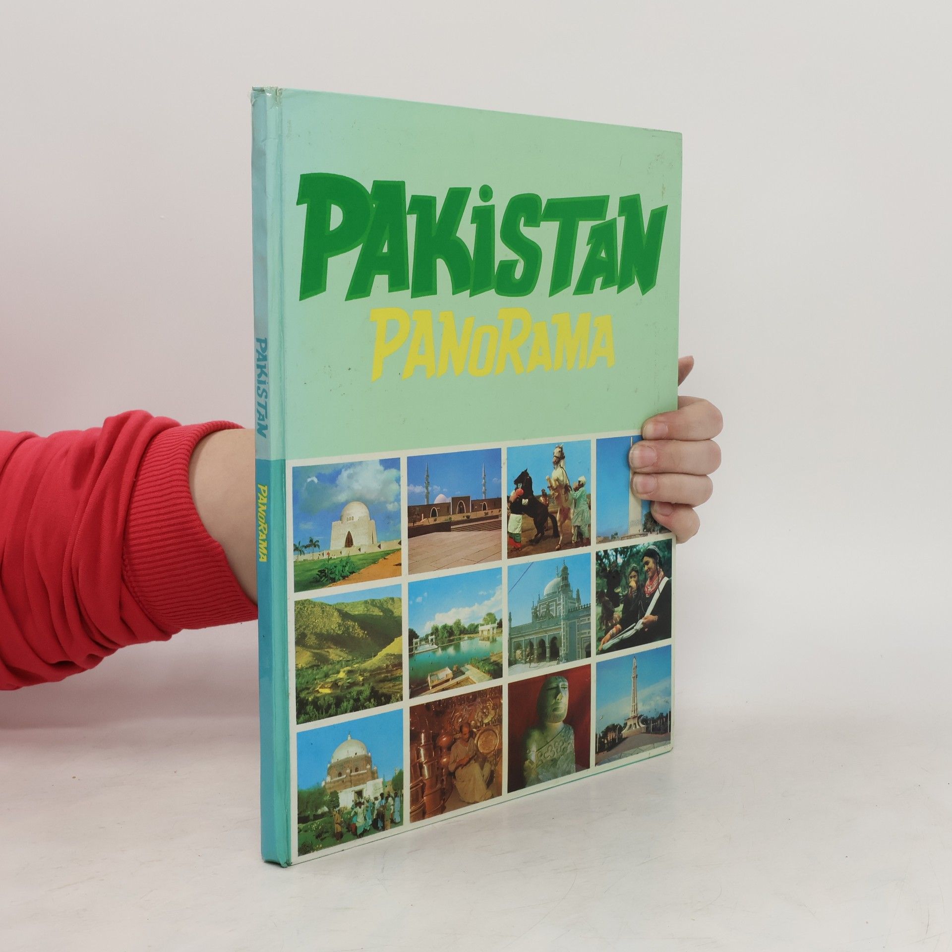 AA.VV. Pakistan Panorama