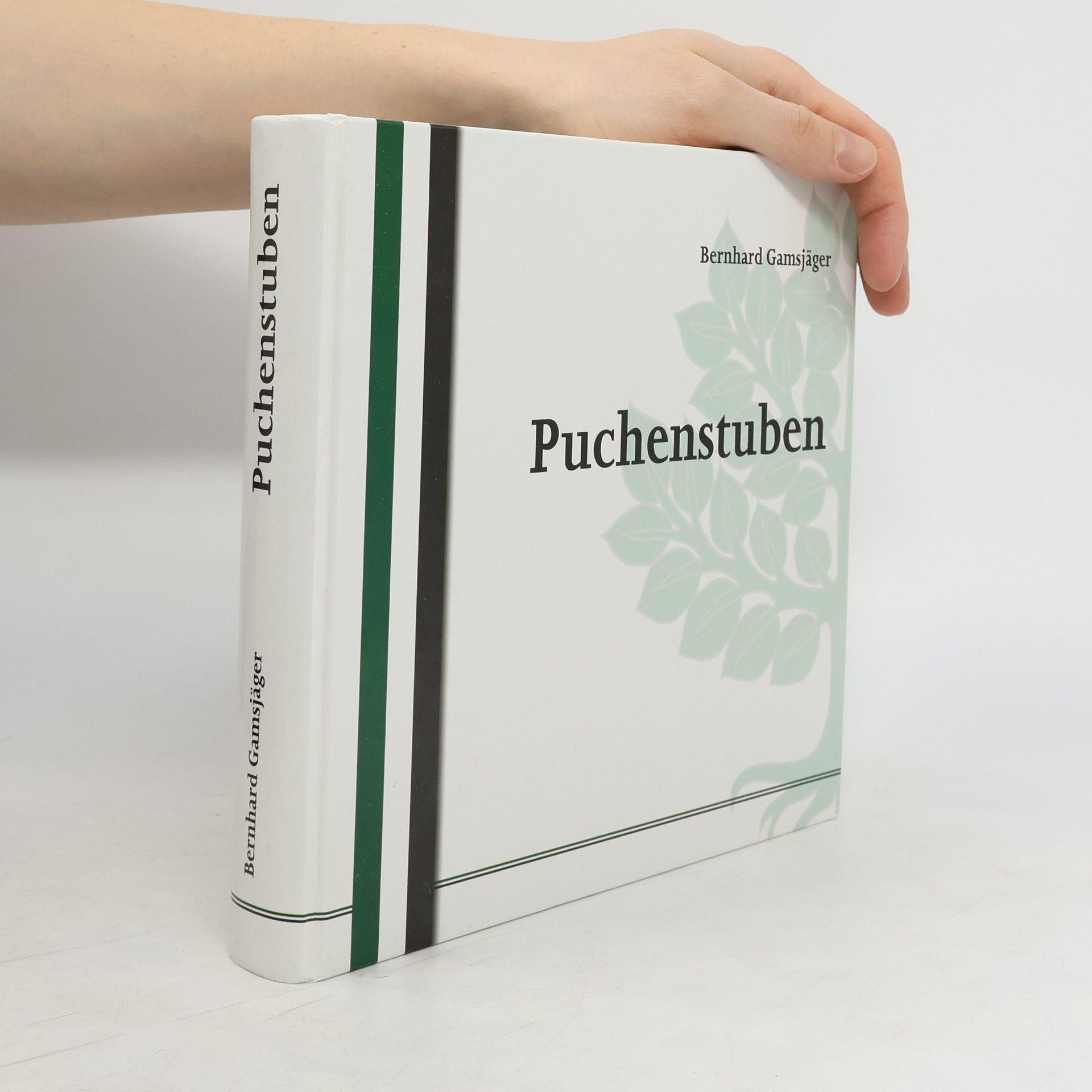 Bernhard Gamsjäger Puchenstuben