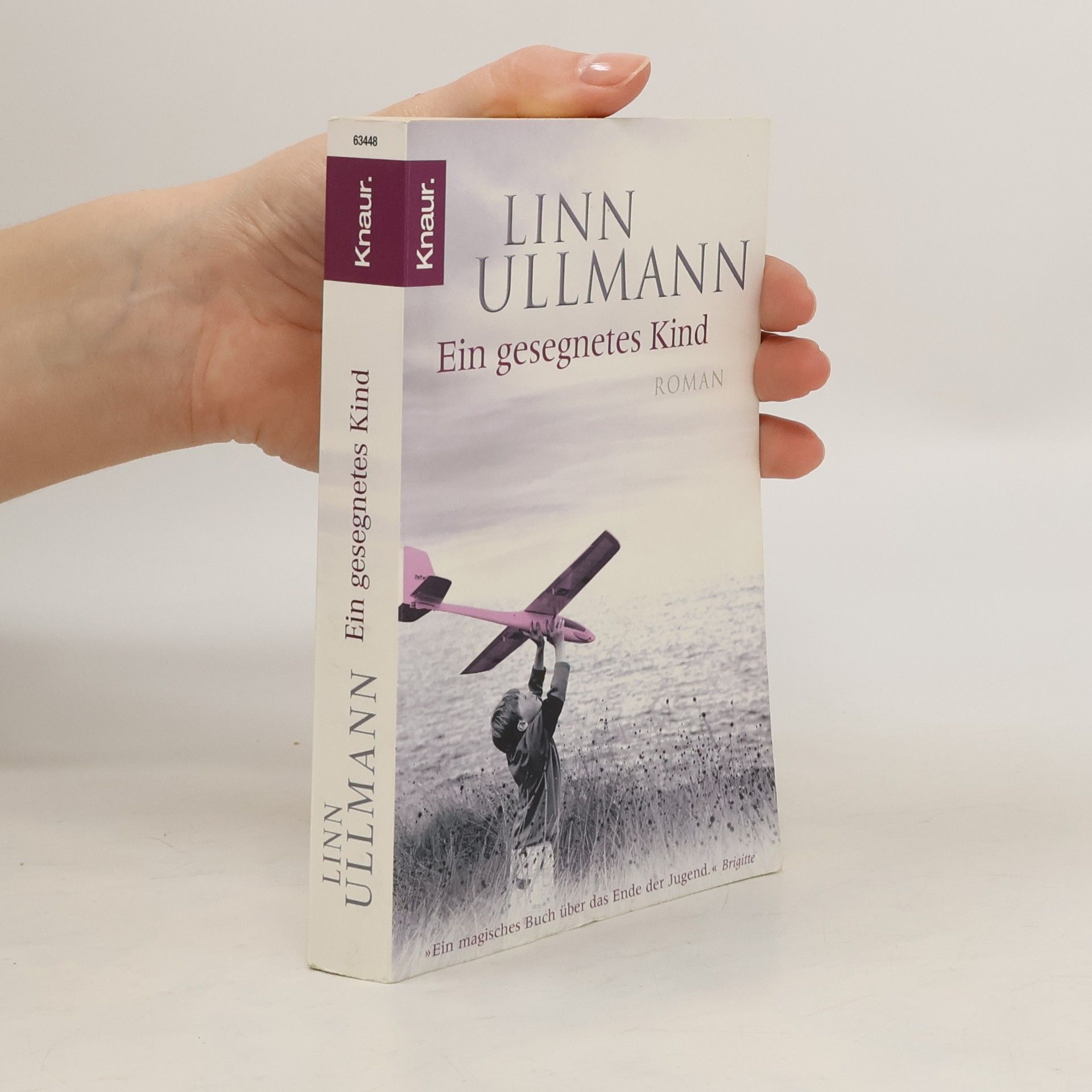 Linn Ullmann Ein gesegnetes Kind