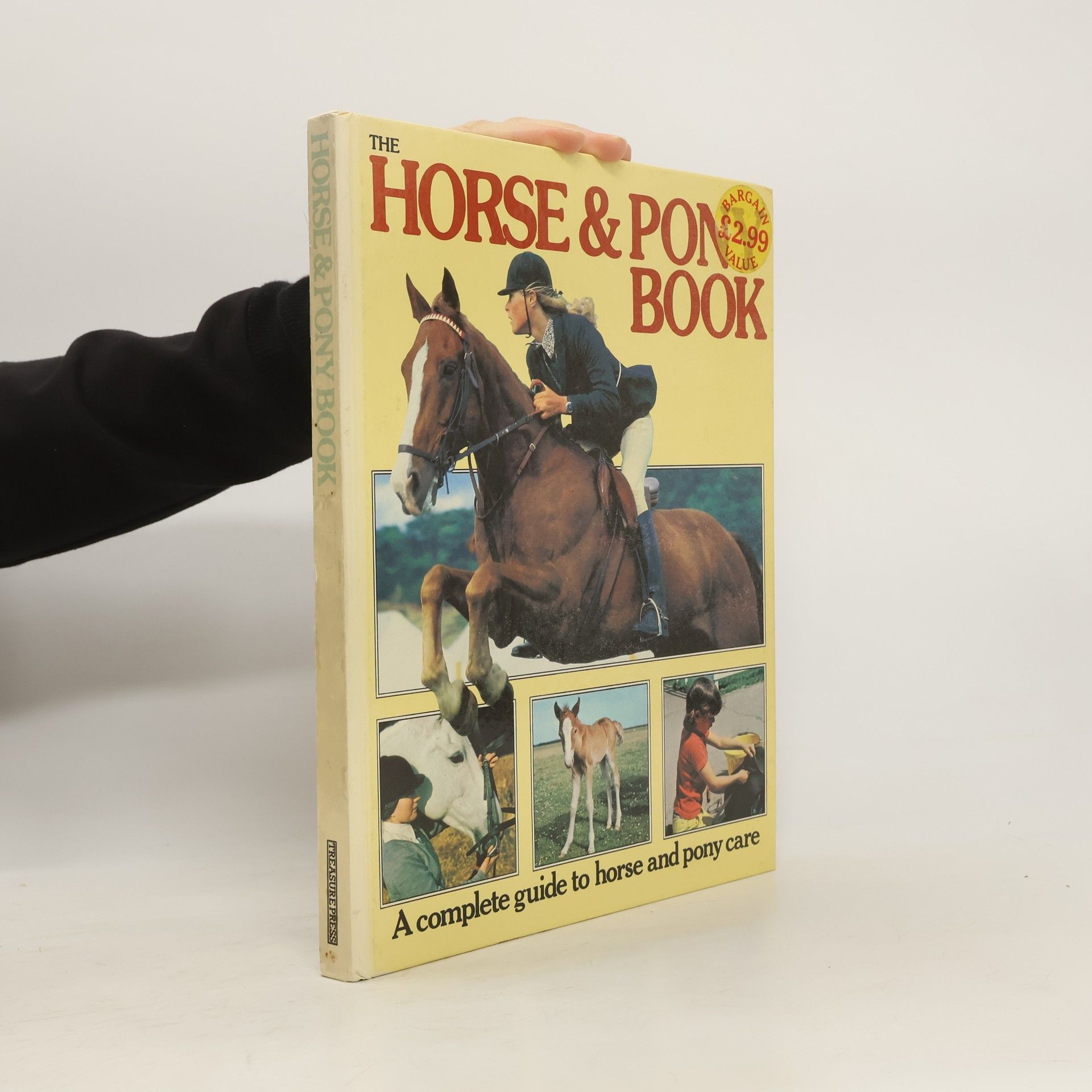 Sally Gordon The Horse and Pony Book