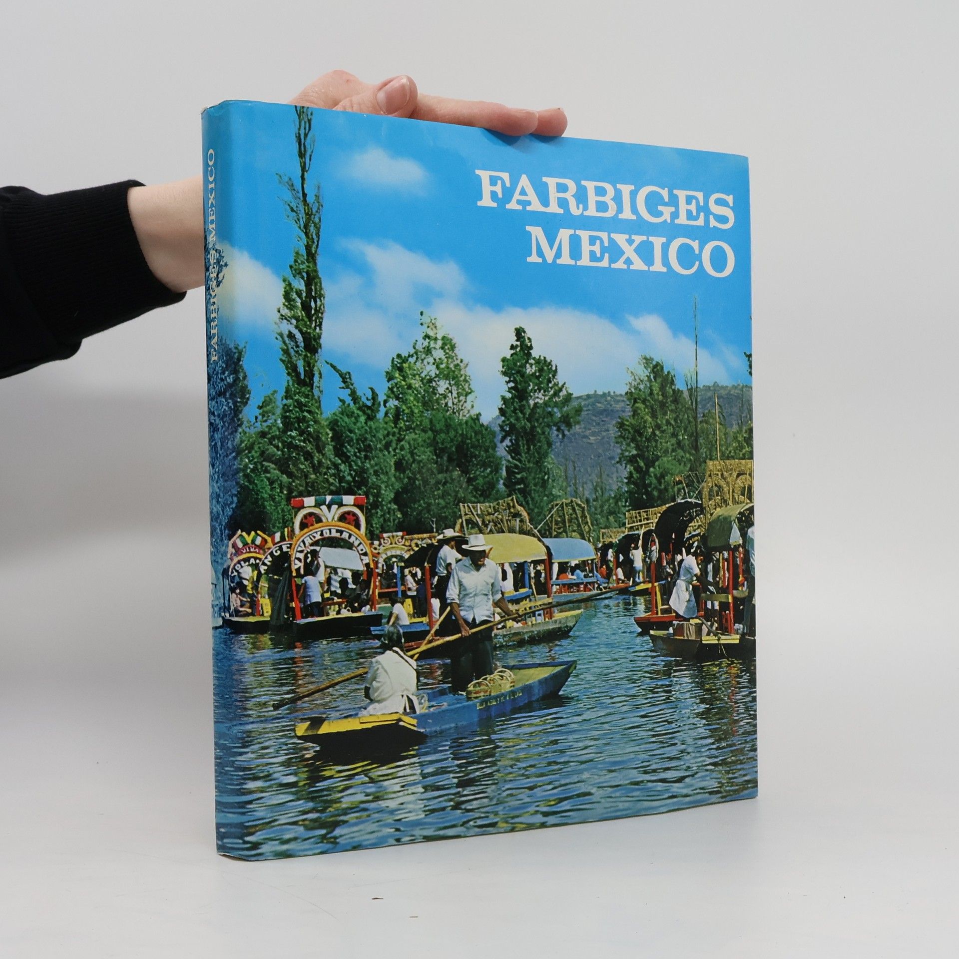 kolektiv Farbiges Mexico