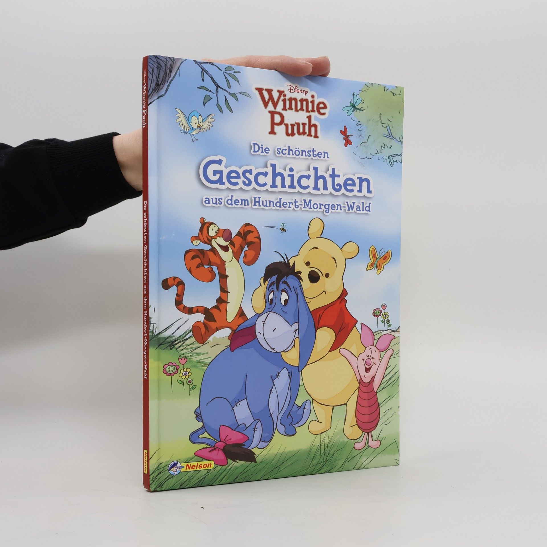 Autorenkollektiv Winnie Puuh - die schönsten Geschichten aus dem Hundert-Morgen-Wald