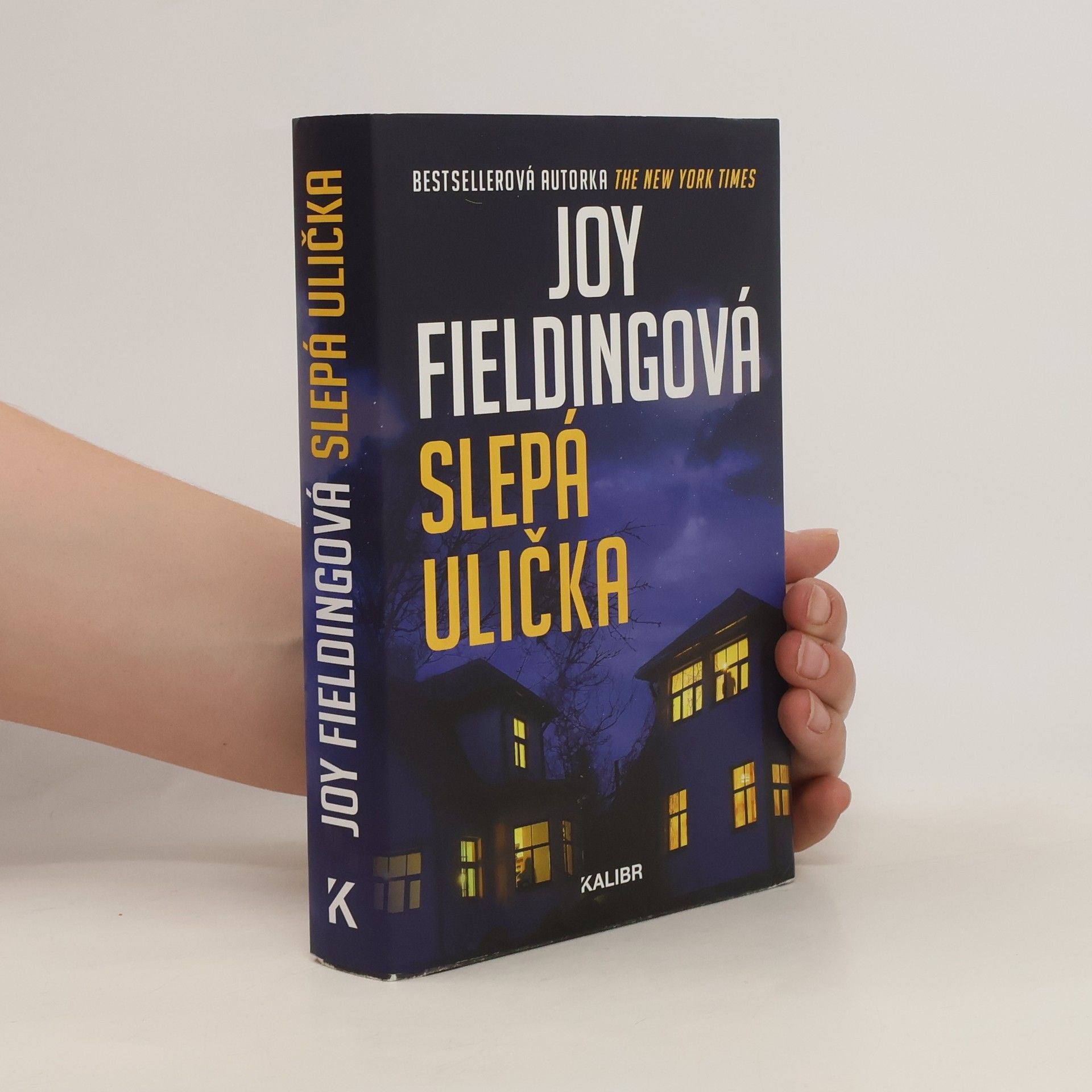 Joy Fielding Slepá ulička