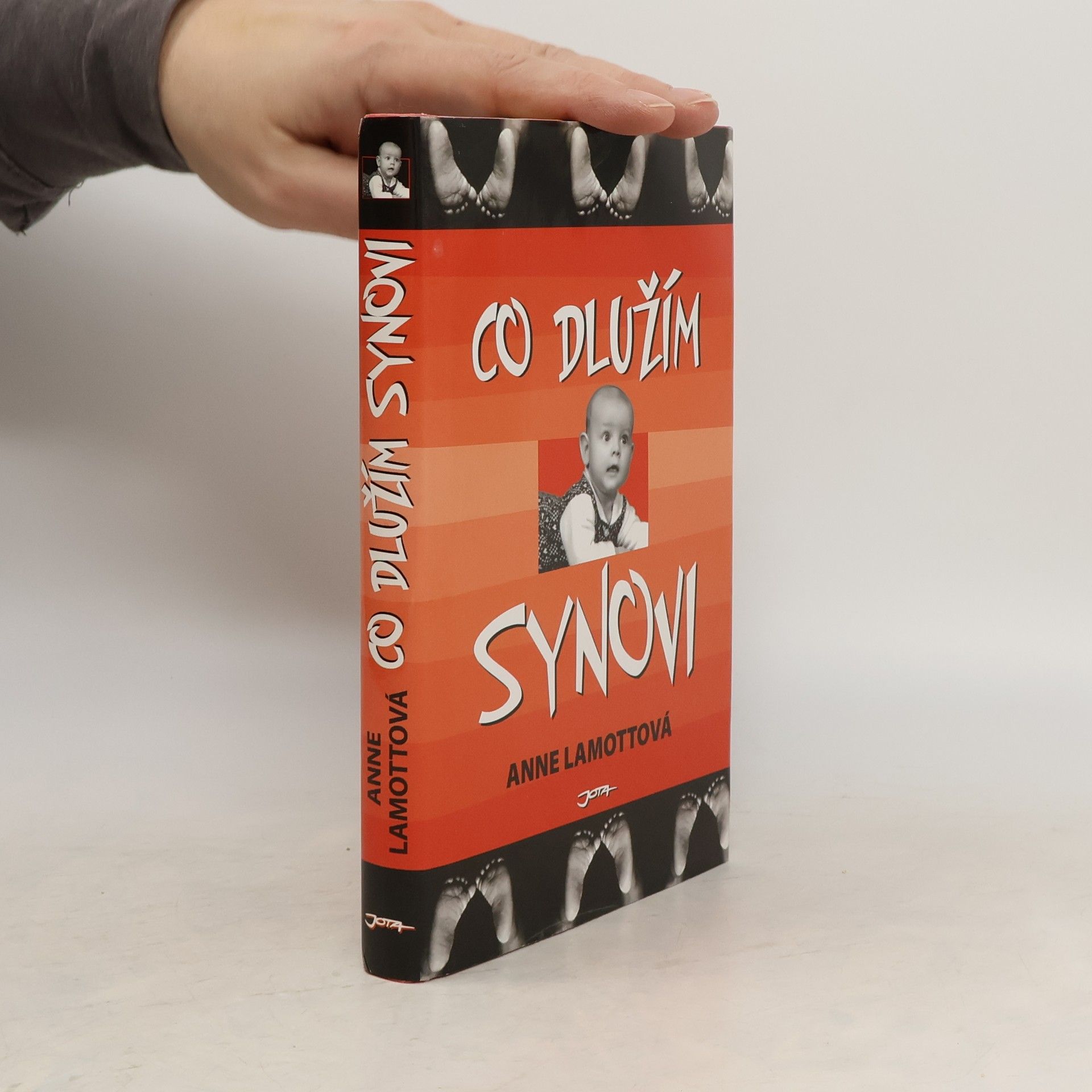 Anne Lamott Co dlužím synovi