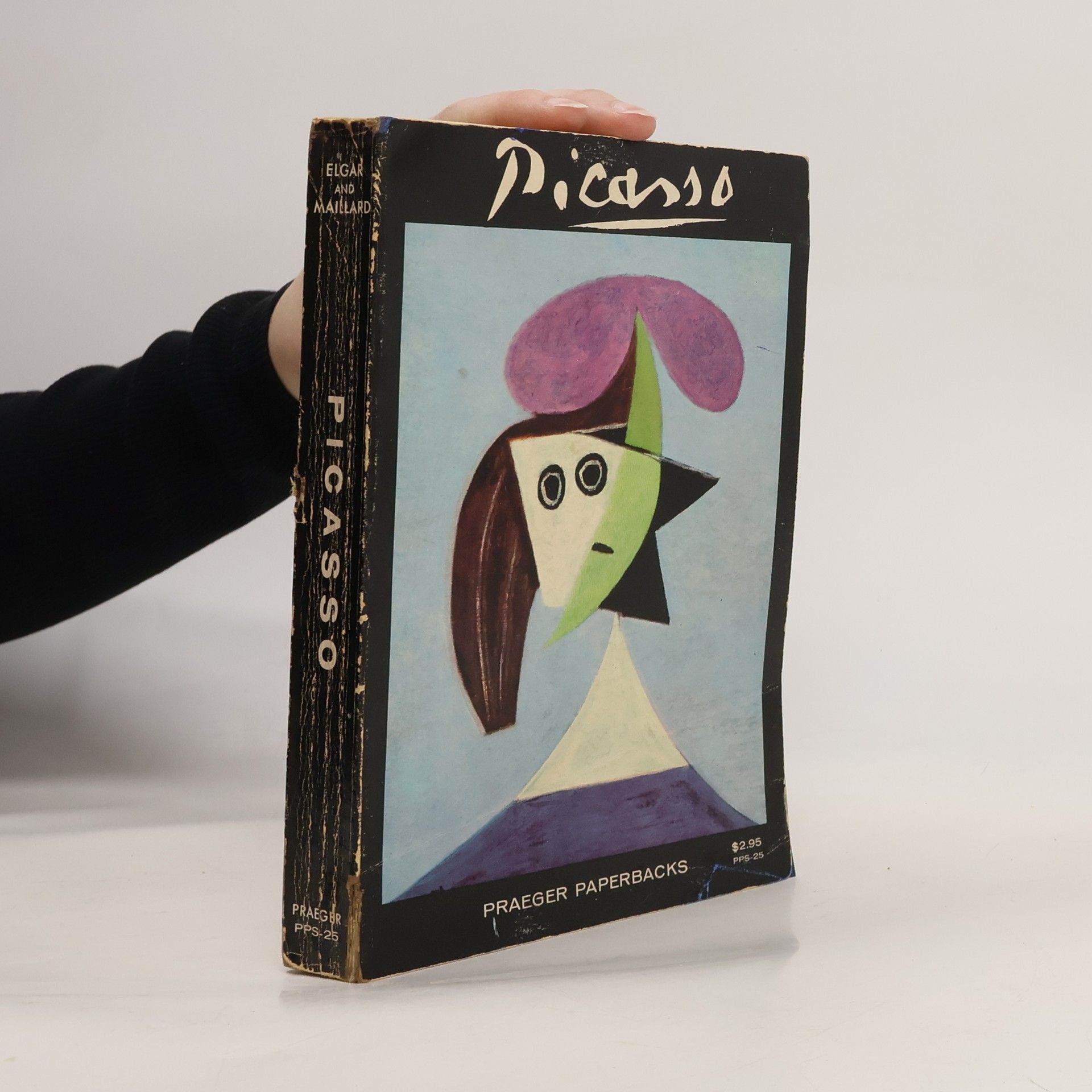 Collectif d'auteurs Picasso