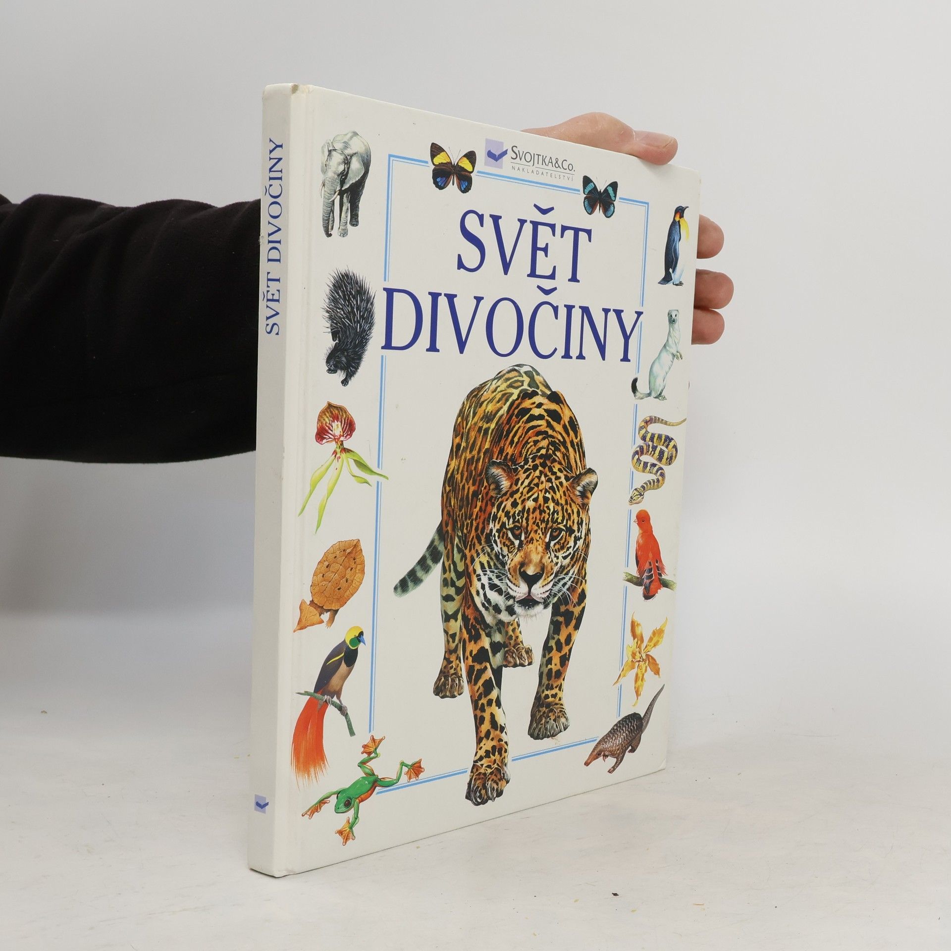 Andrew Dixon Svět divočiny