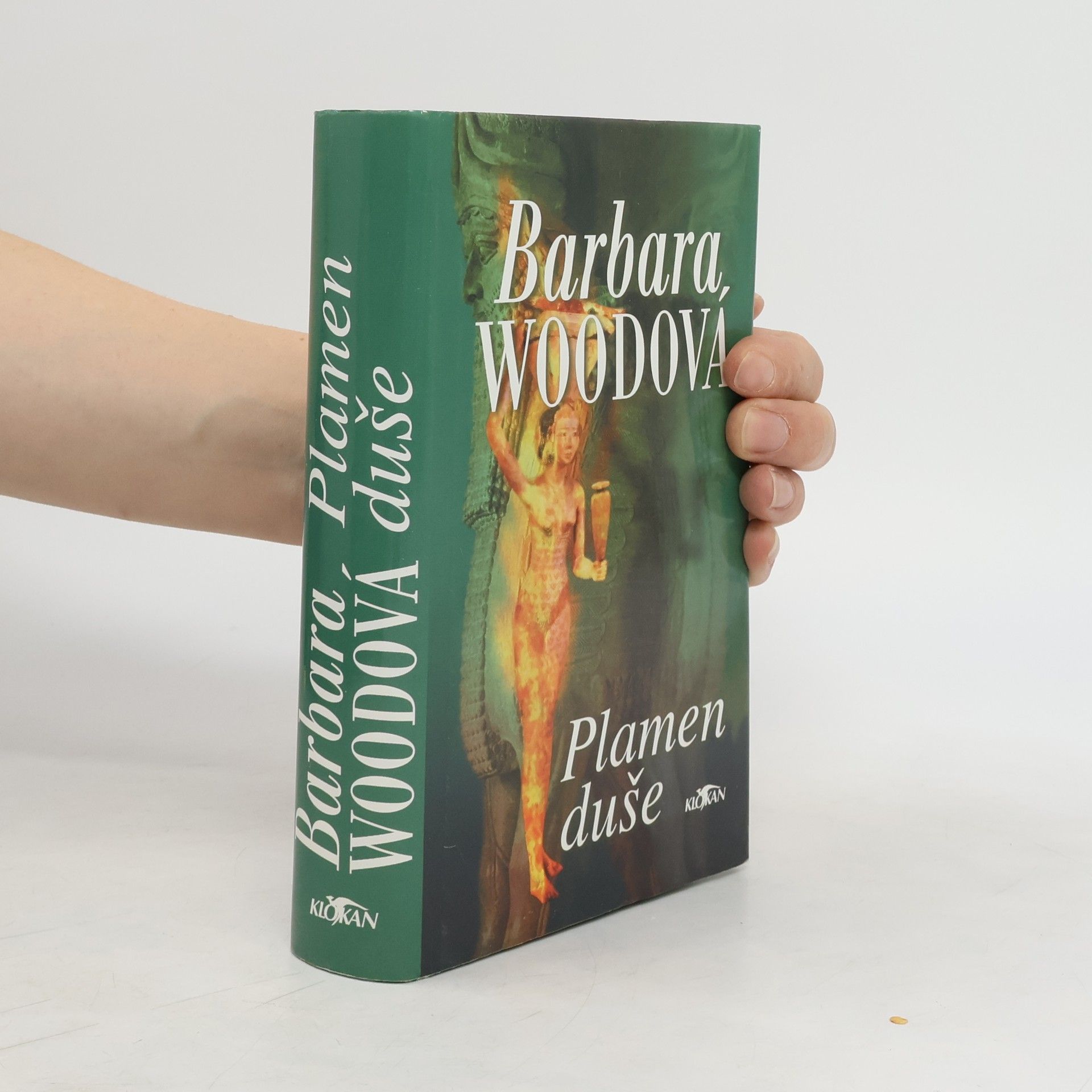 Barbara Wood Plamen duše