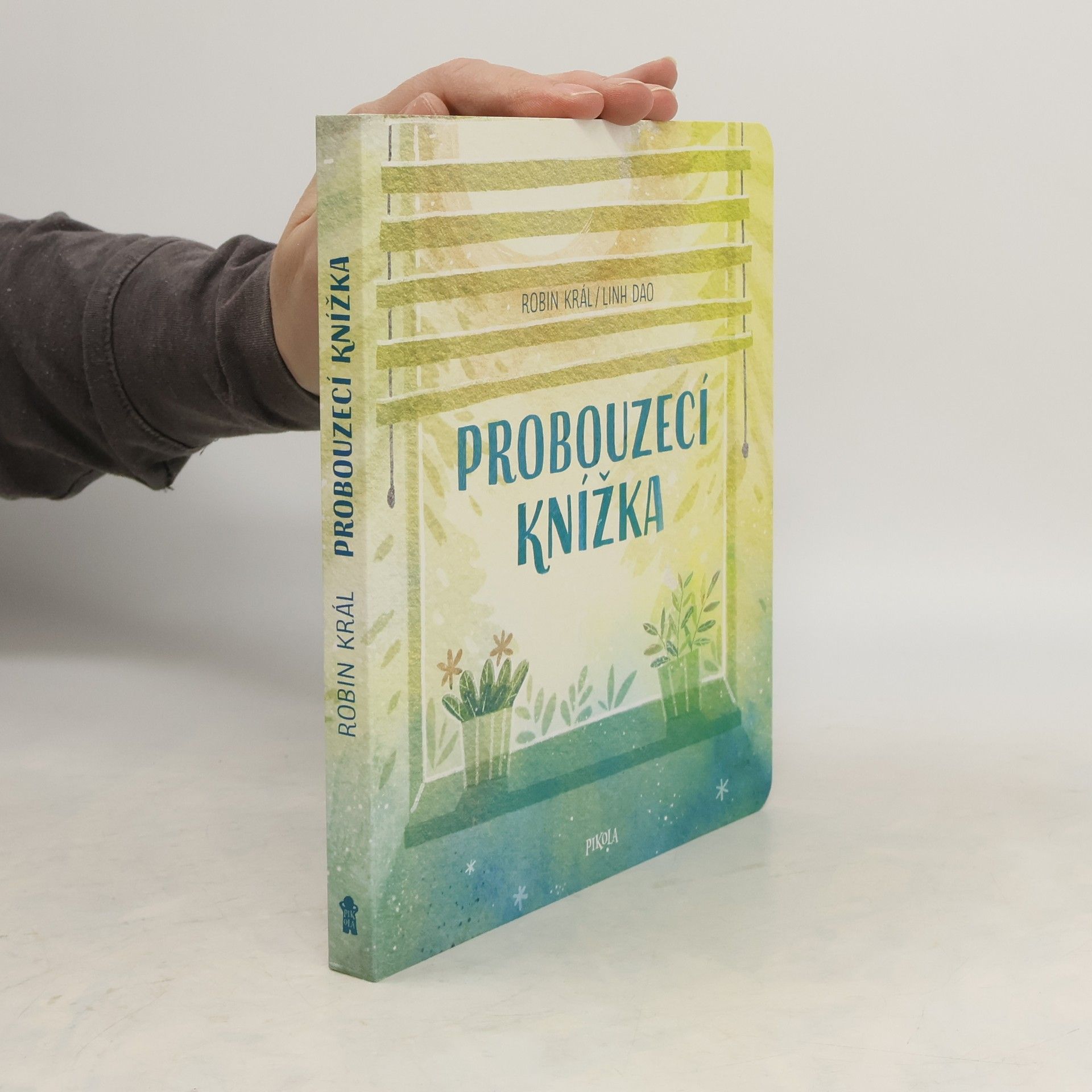 Robin Král Probouzecí knížka